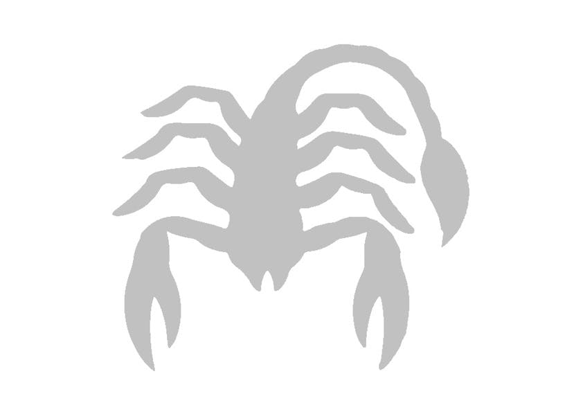 https://imgix.udeoghjemme.dk/2023-02-20/skorpion1.jpg