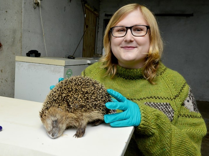Forsker Sophie Rasmussen med pindsvin