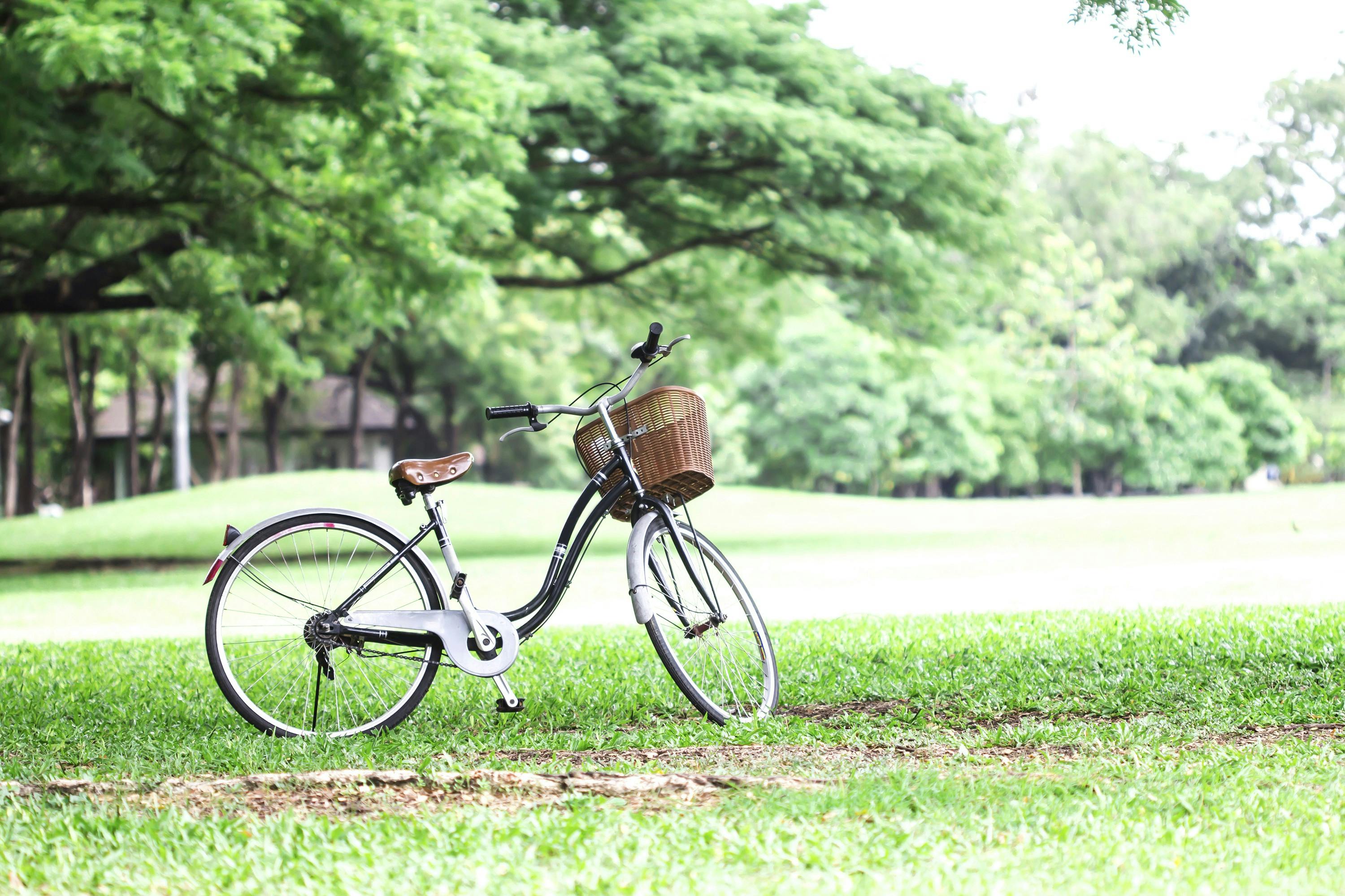 En cykel i en park