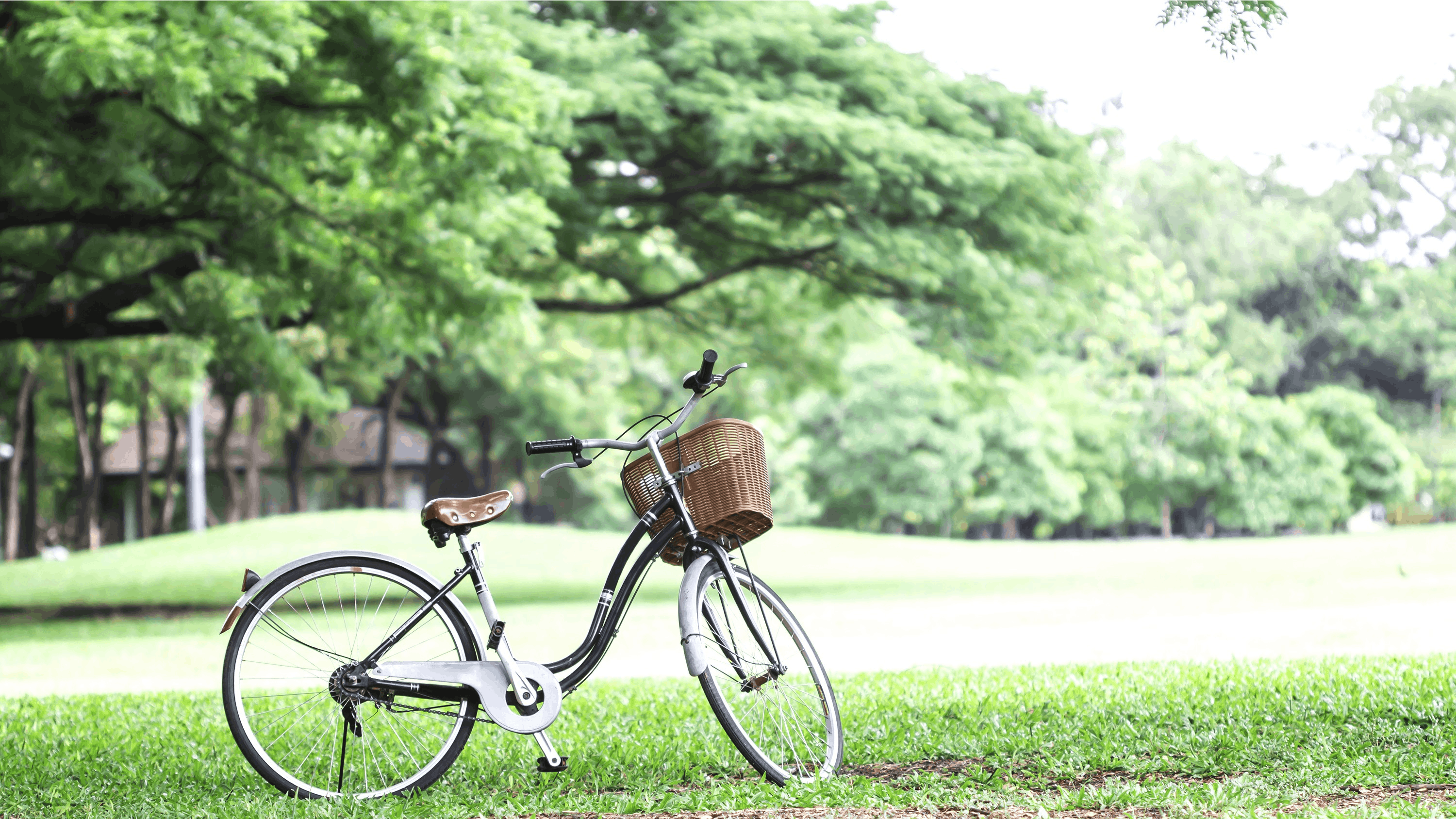 En cykel i en park