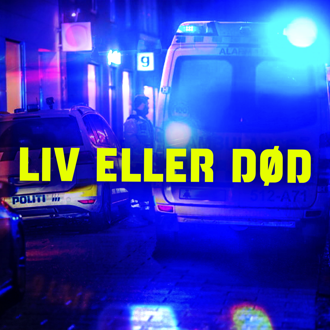 I podcasten ”Overfaldet i natten” kan du høre Anna Palshof fortælle om sit arbejde på Reden. Den er en del af serien ”Liv eller død” og findes i app’en Ally.