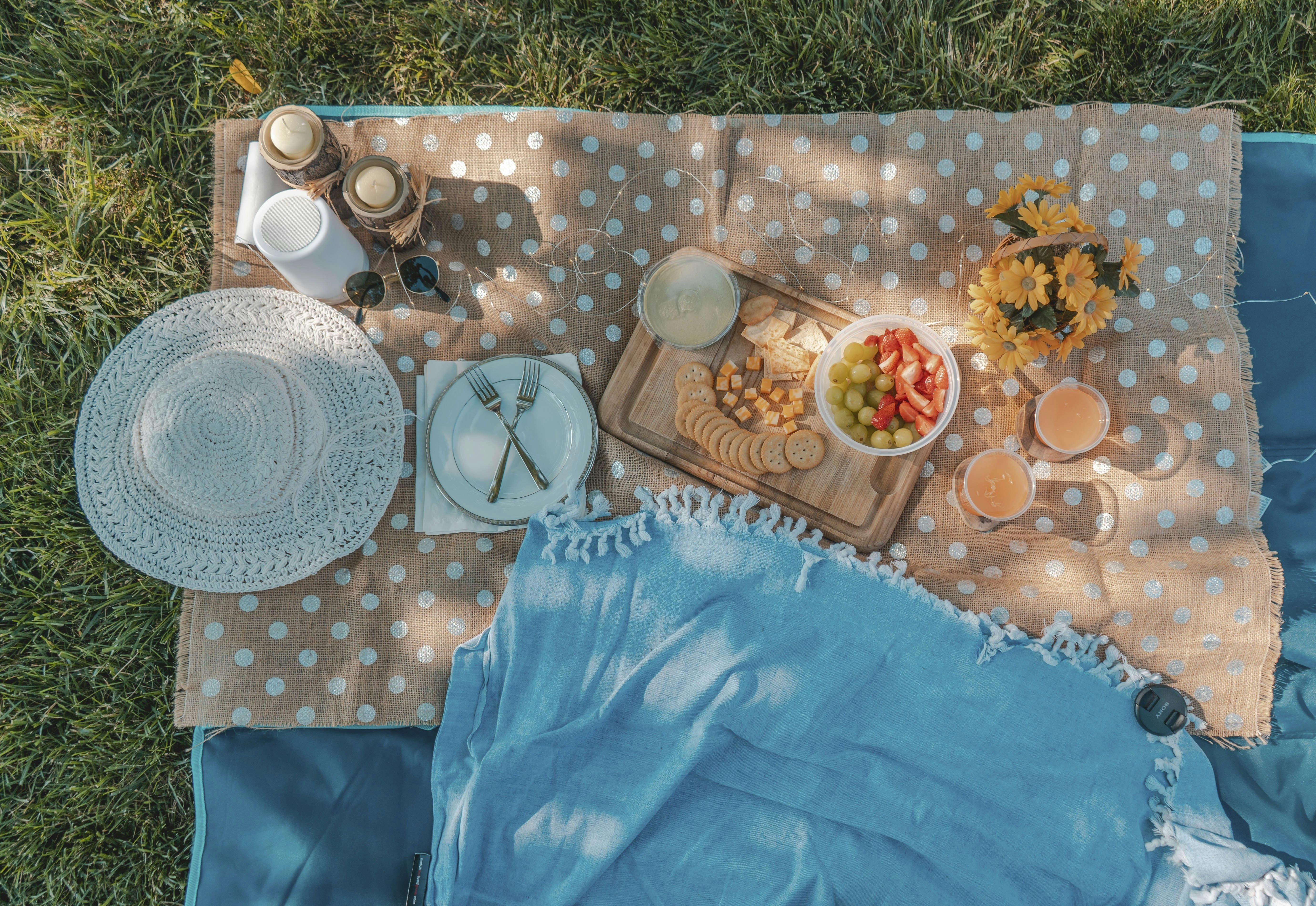 Picnic