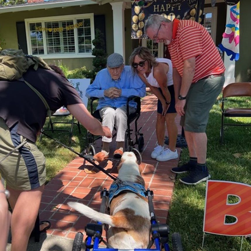Hundeparade til 100-års fødselsdag