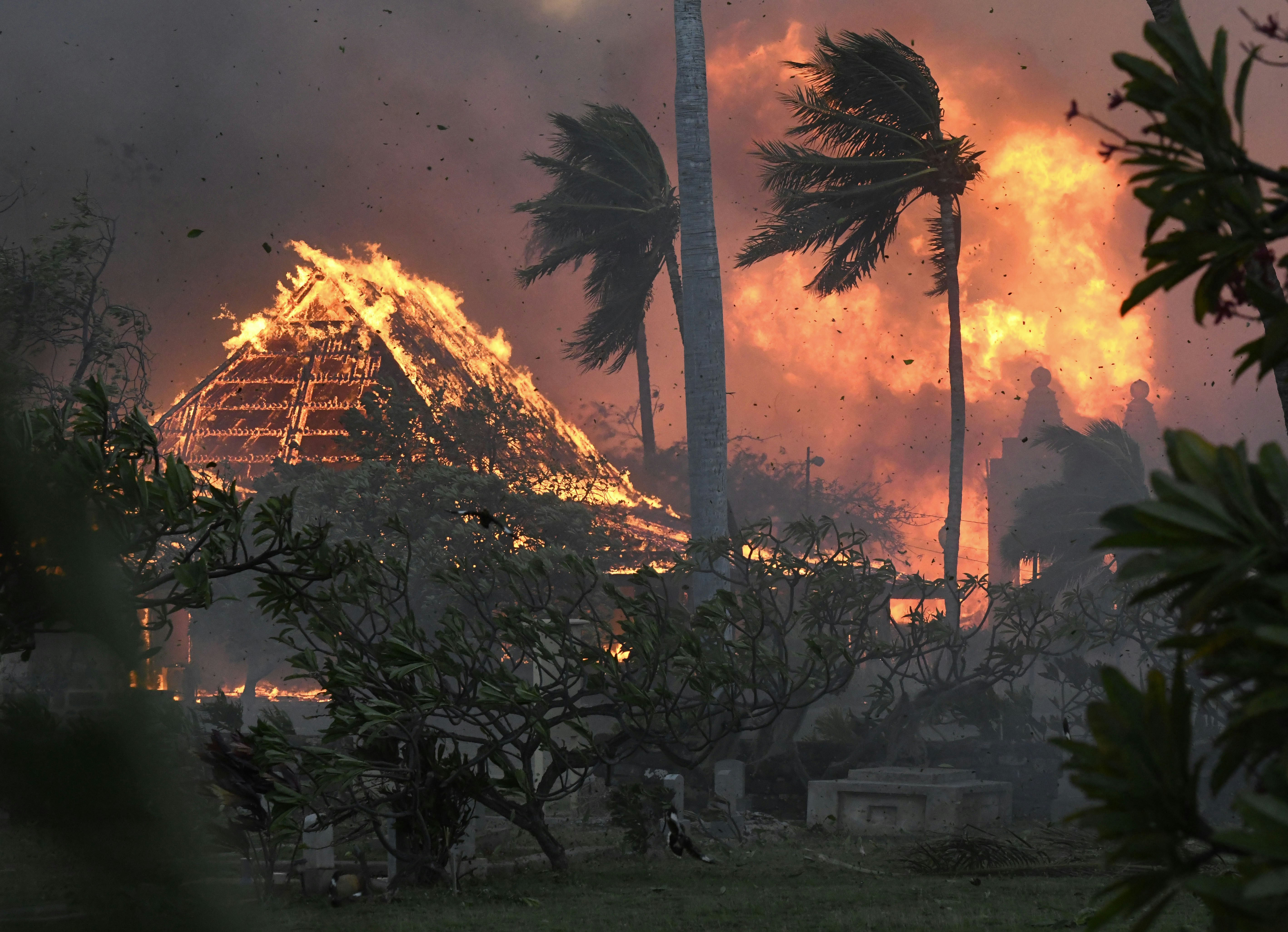 Skovbrand ved Lahaina, Hawaii