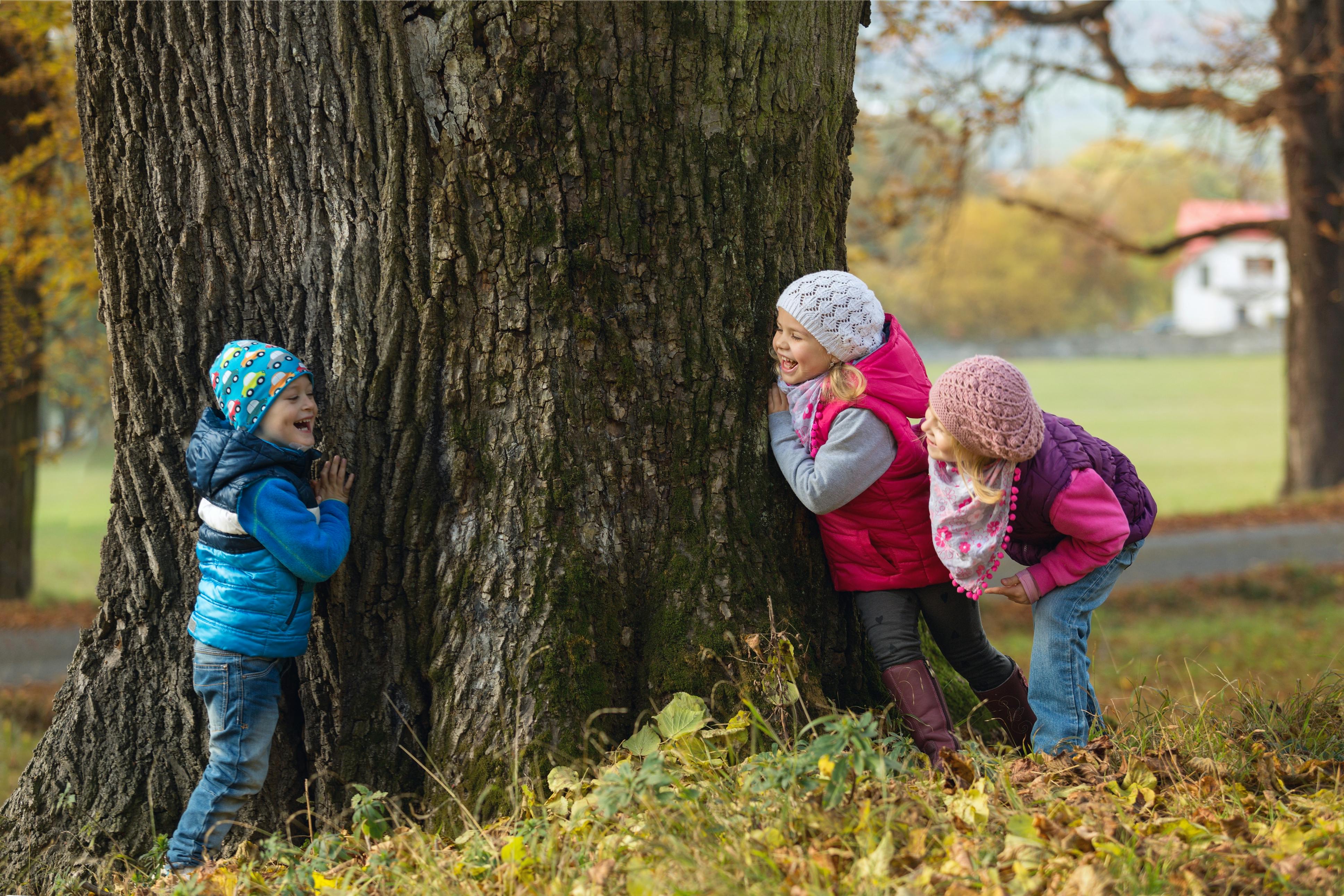 Børn der leger i en park om efteråret