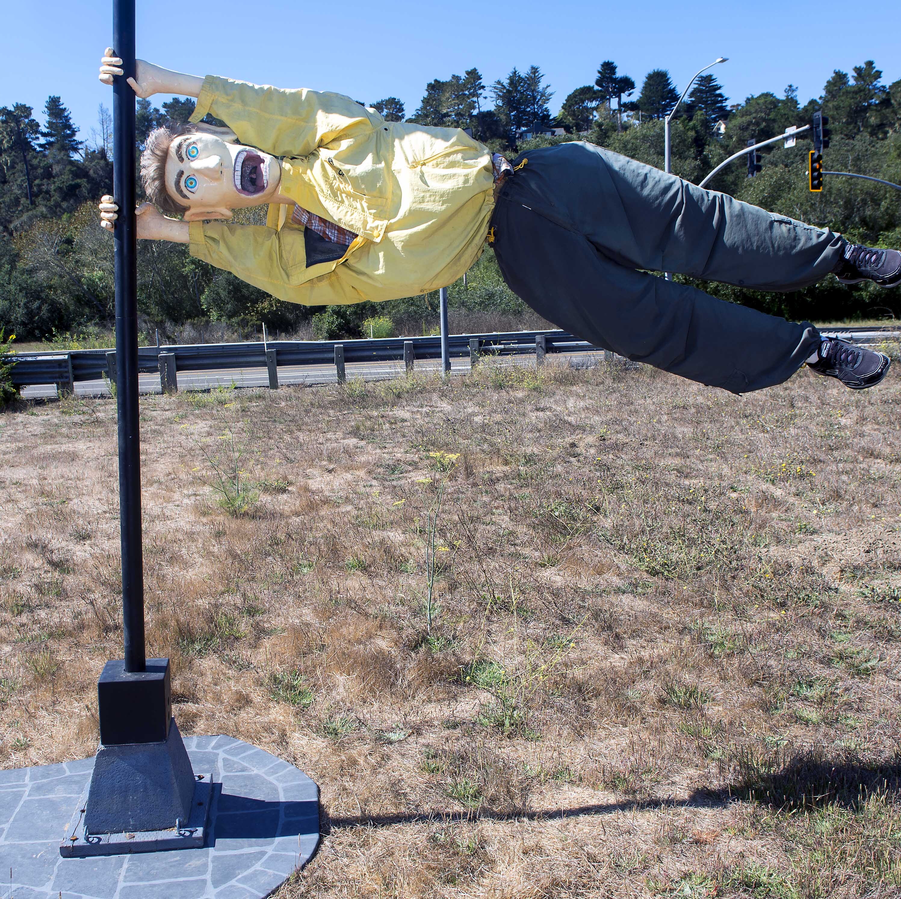 Fugleskræmsel i lygtepæl