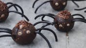 uhyggelige halloween edderkopper