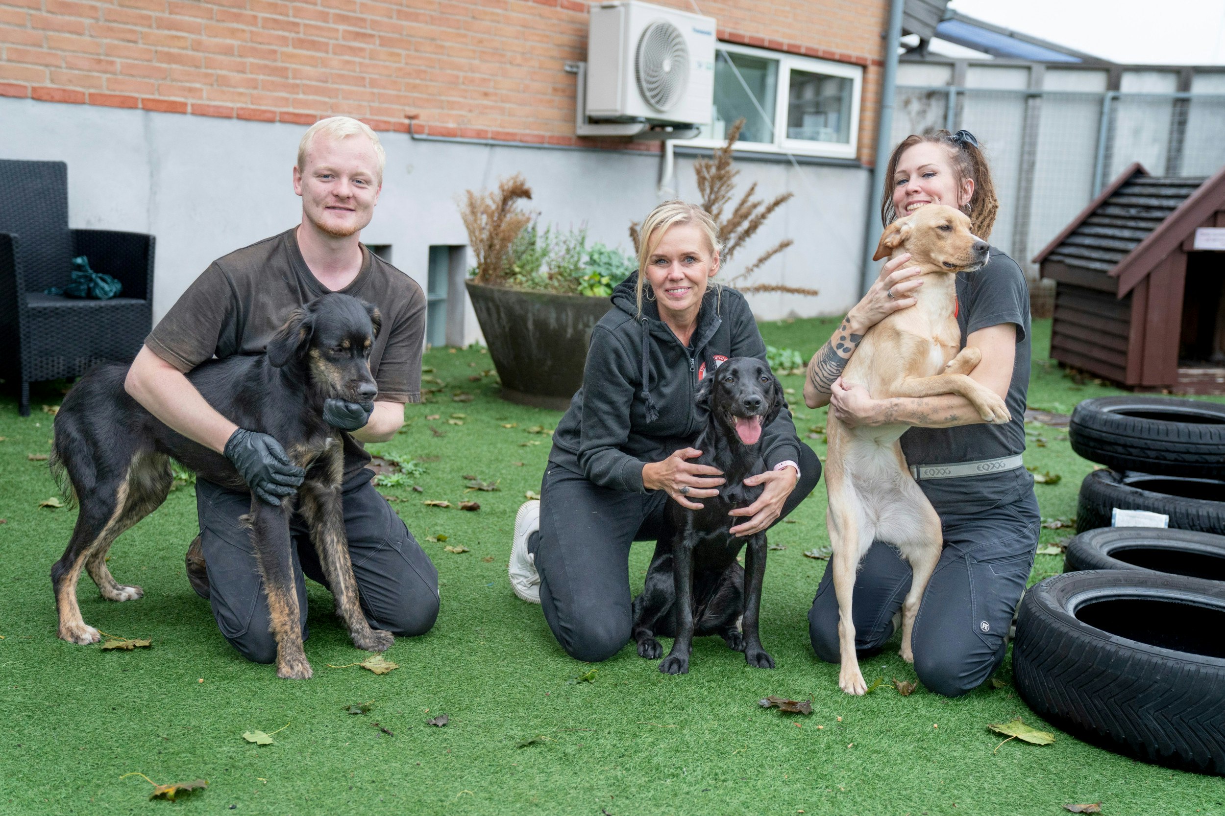 Et sjældent billede af Nina Amdi, Christoffer Rasmussen, Signe Edlund og hvalpene sammen, da Pjuske, Sara og Perle heller vil ud at lege end at få taget billede.