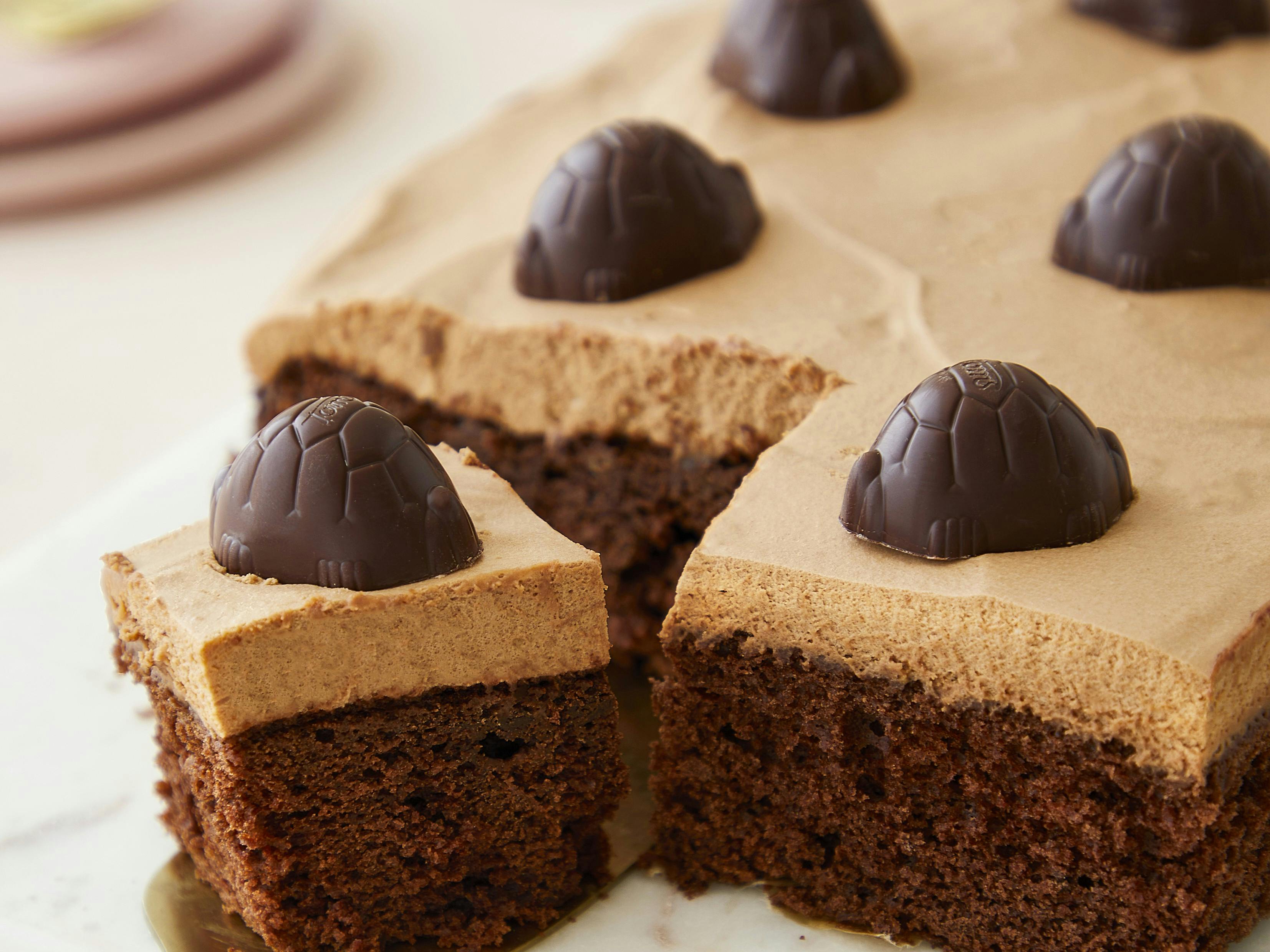 Svampet chokoladekage med cremet skildpadde-mousse bagt i bradepande