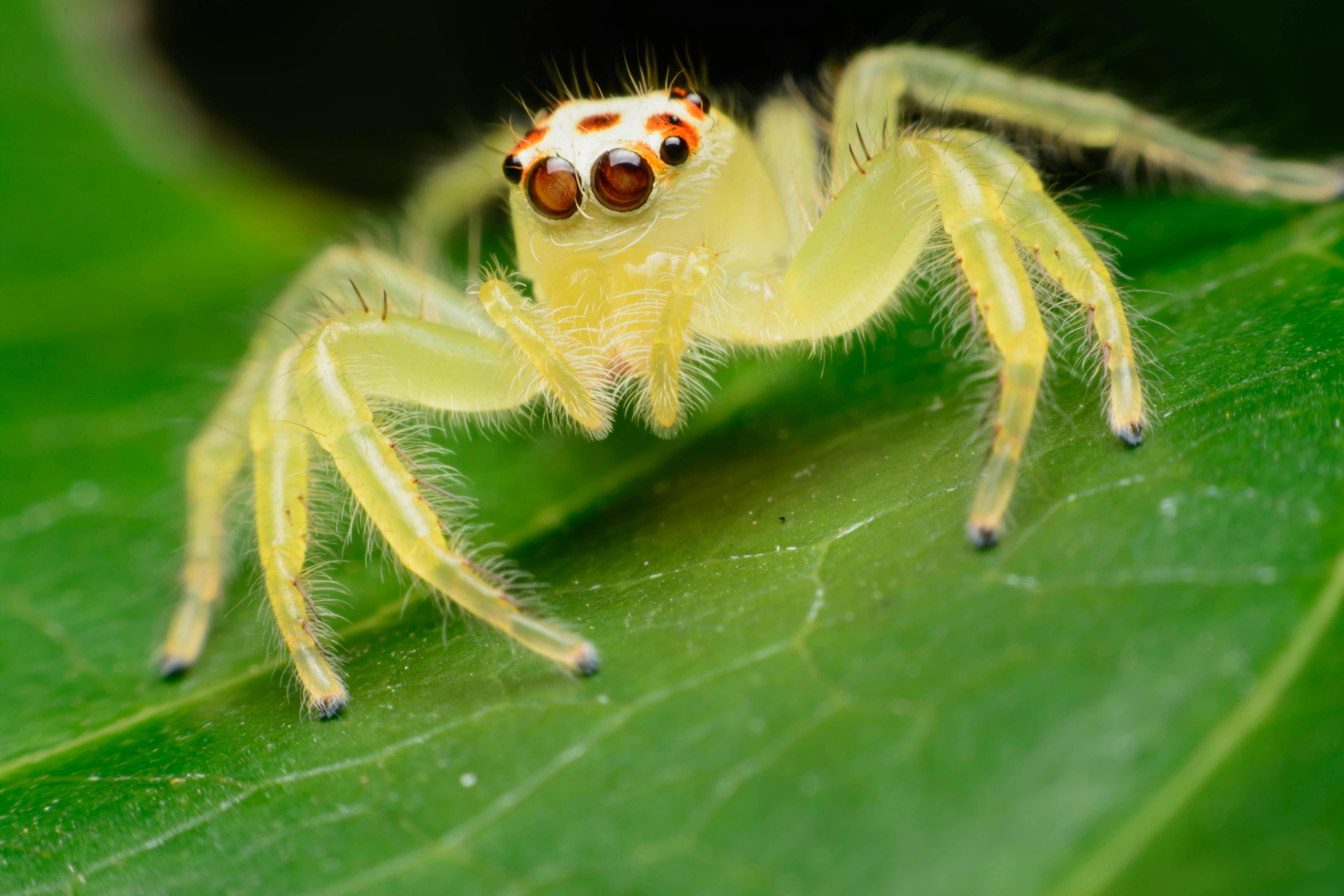 https://imgix.udeoghjemme.dk/2024-04-19/shutterstock_413208556.jpg
