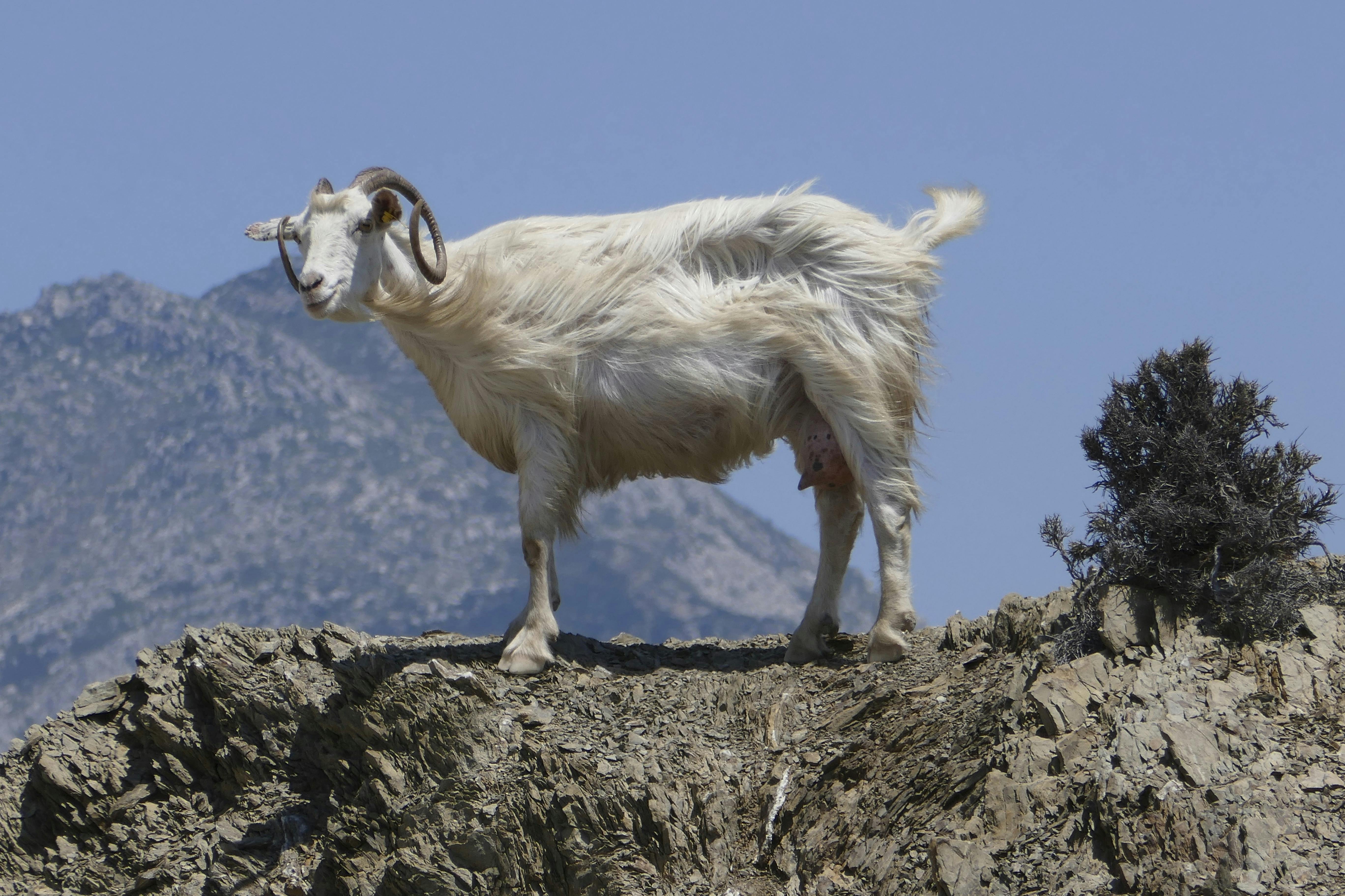 Ferie på Karpathos