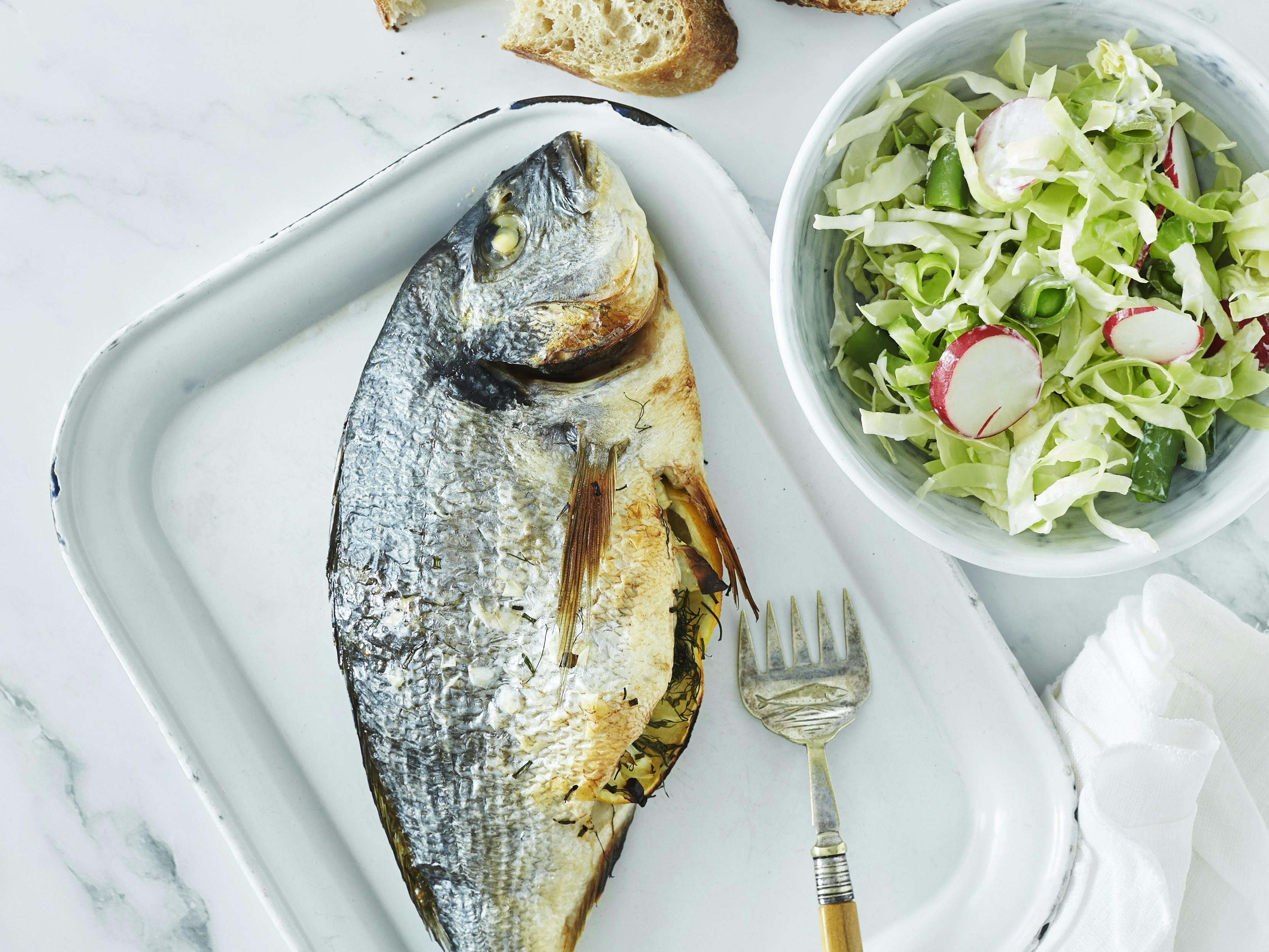 Dorade med spidskålssalat