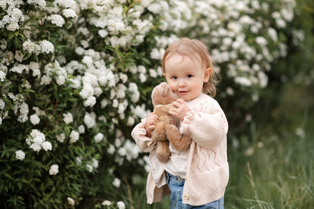 2-årig pige står med sin bamse i favnen foran en blomstrende busk.