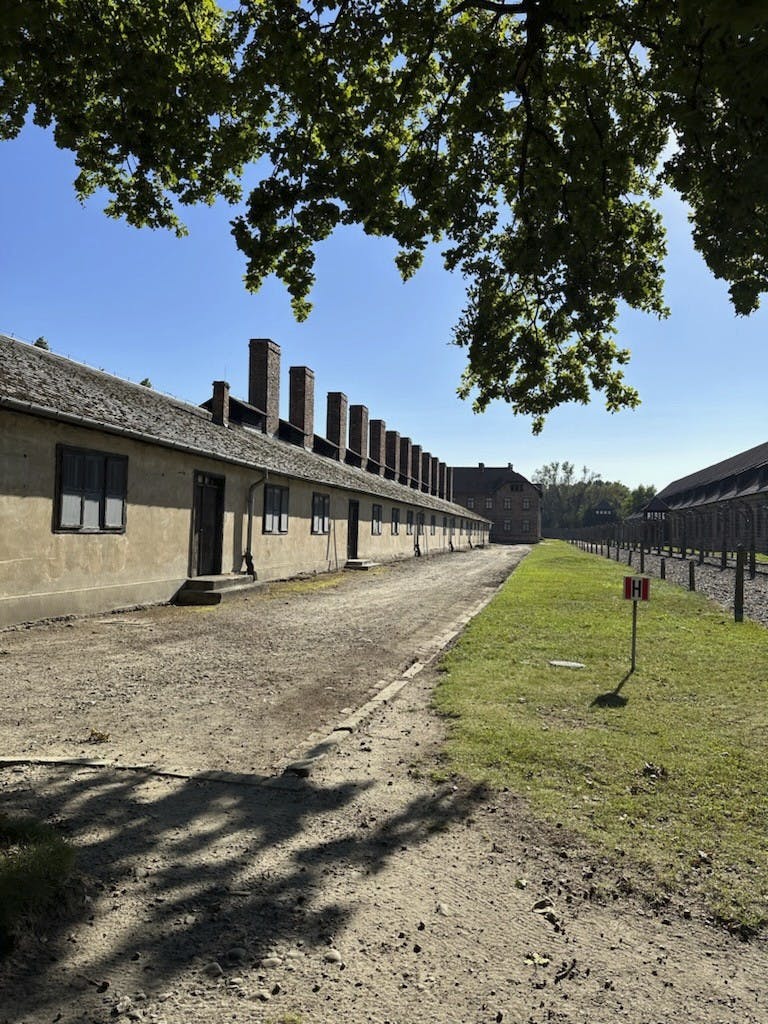 Selma Ambirk i Auschwitz.