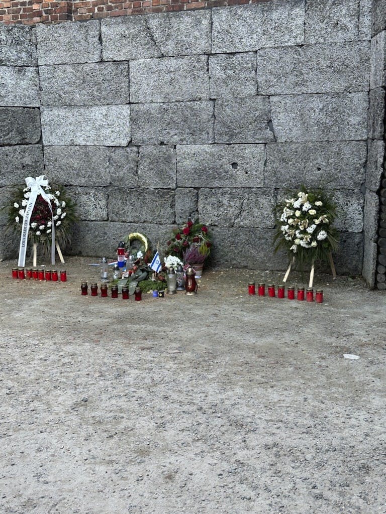 Selma Ambirk i Auschwitz.