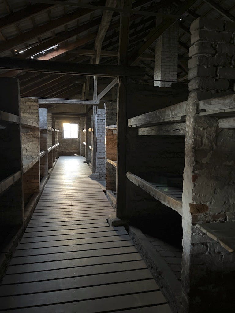 Selma Ambirk i Auschwitz.