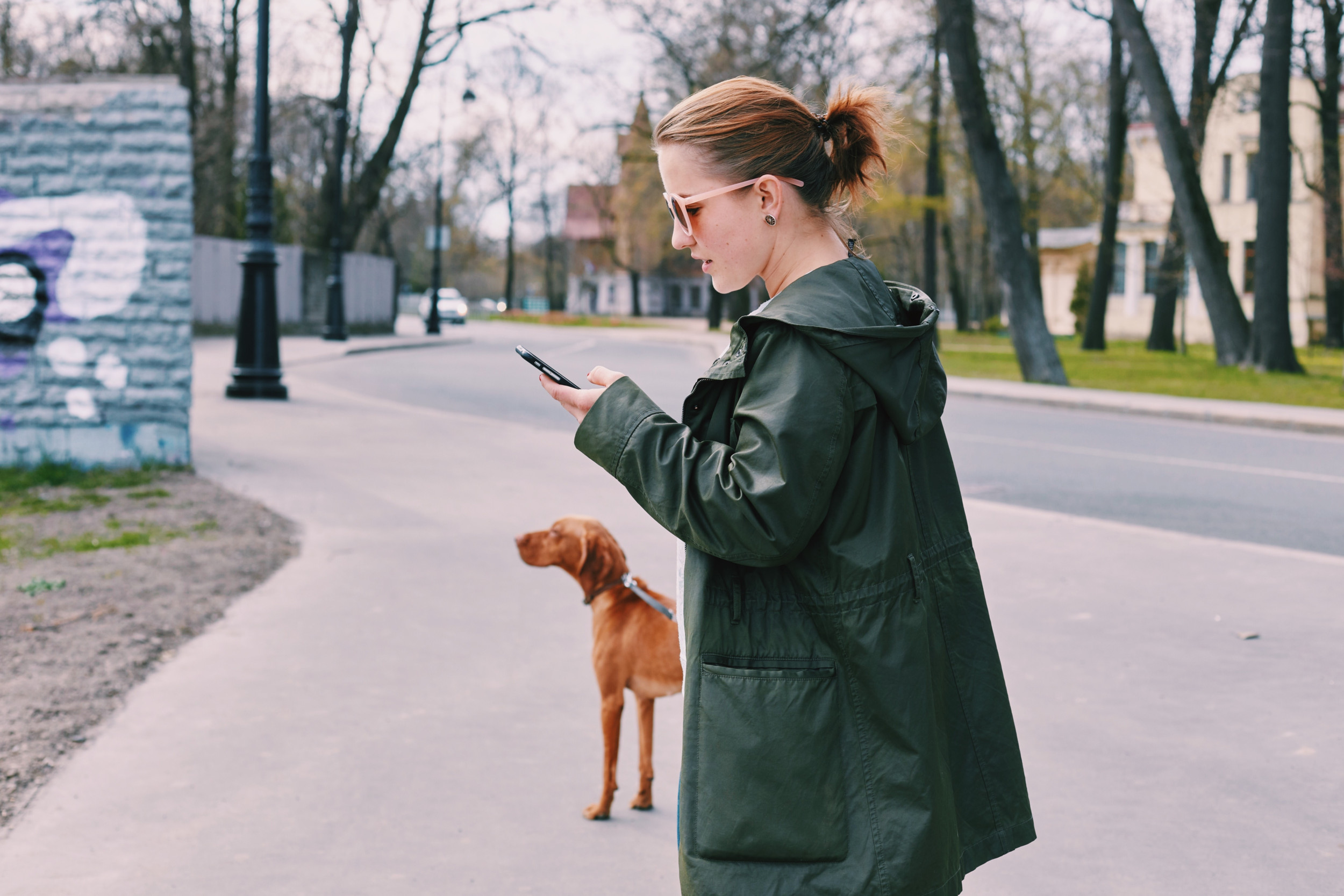 Kvinde ser på sin mobil, mens hun lufter hund.