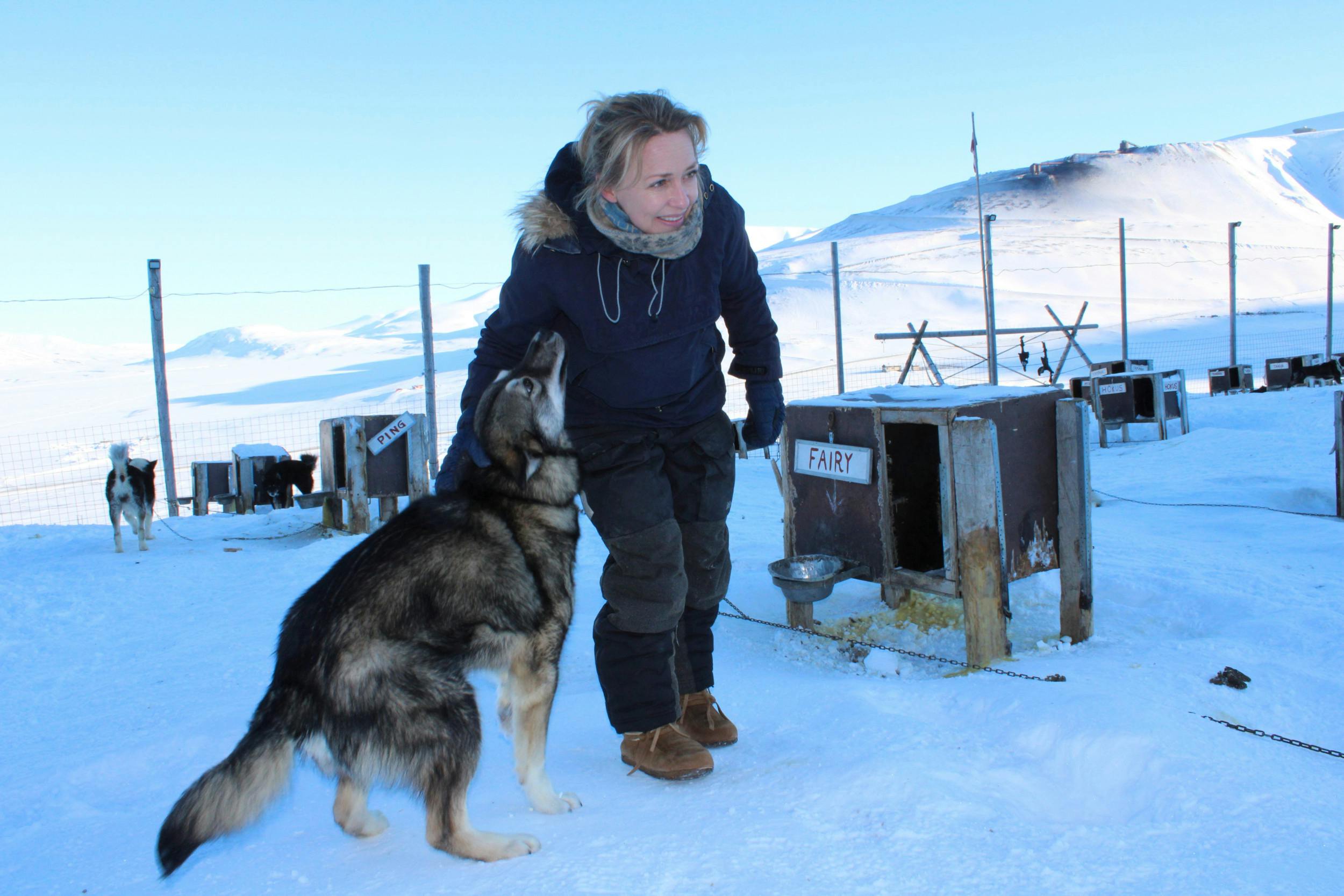 Karina og hendes mand ejer Svalbards største hundekennel med næsten 300 slædehunde og tilbyder ture i det fascinerende landskab året rundt.