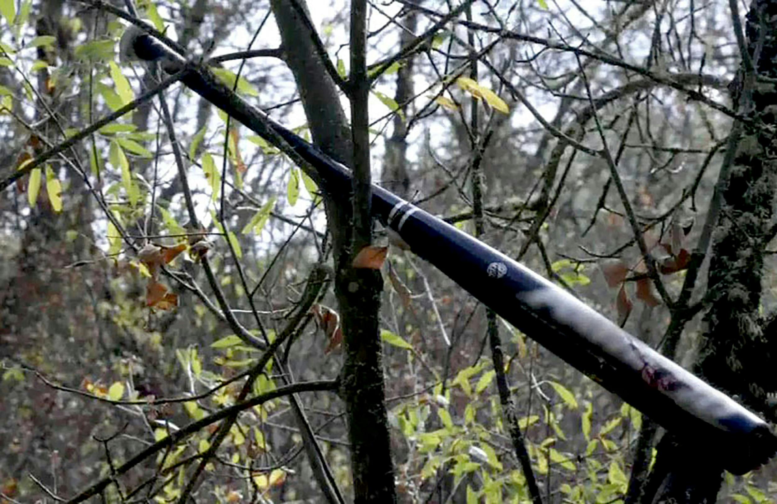 Mordvåbnet var denne baseballkølle, som blev fundet i et træ tæt på liget af Aaron Friar.