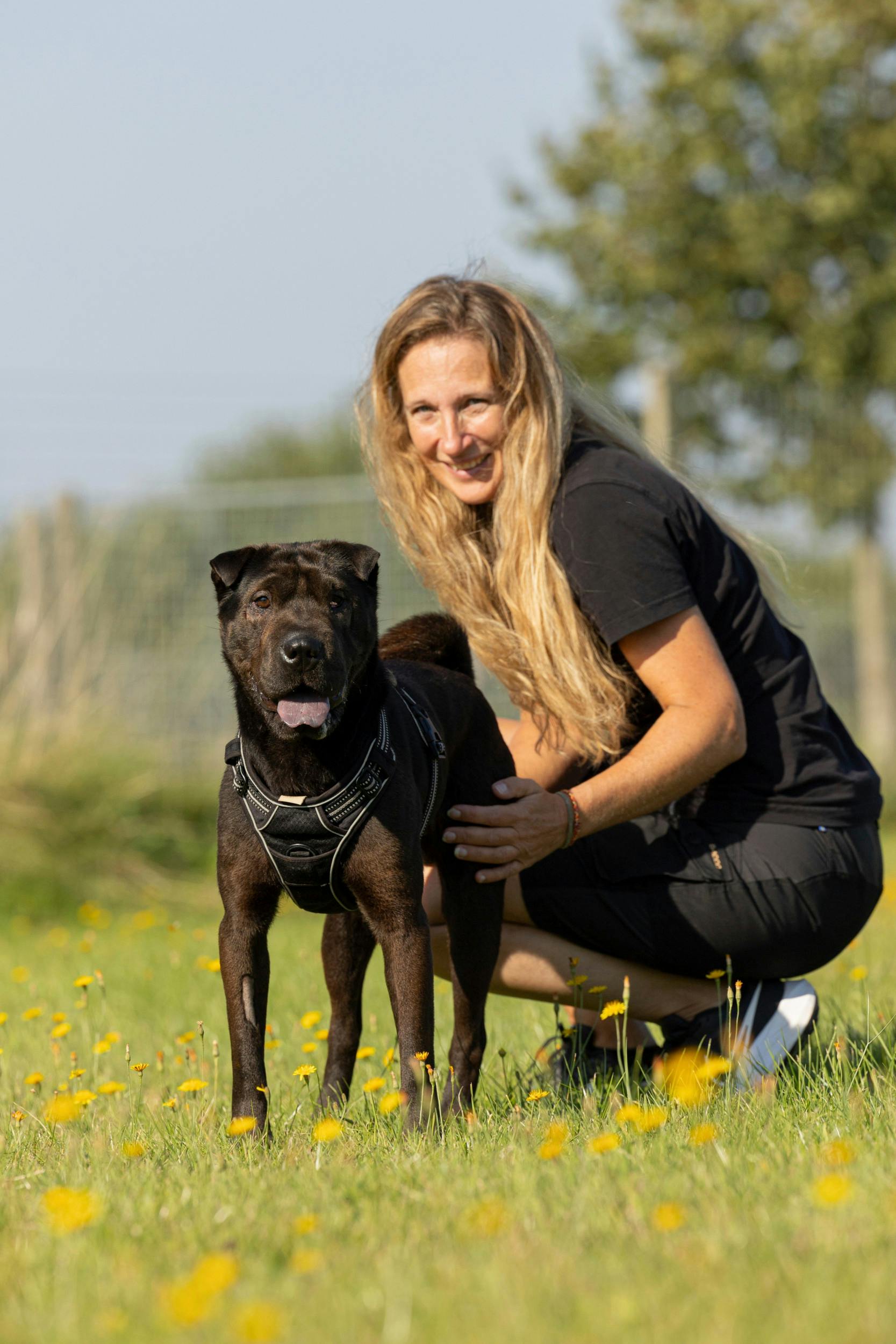 Max blev indleveret til Dyrenes Beskyttelses internat i Roskilde, hvor han har fået en masse kærlighed, tryghed og omsorg. 