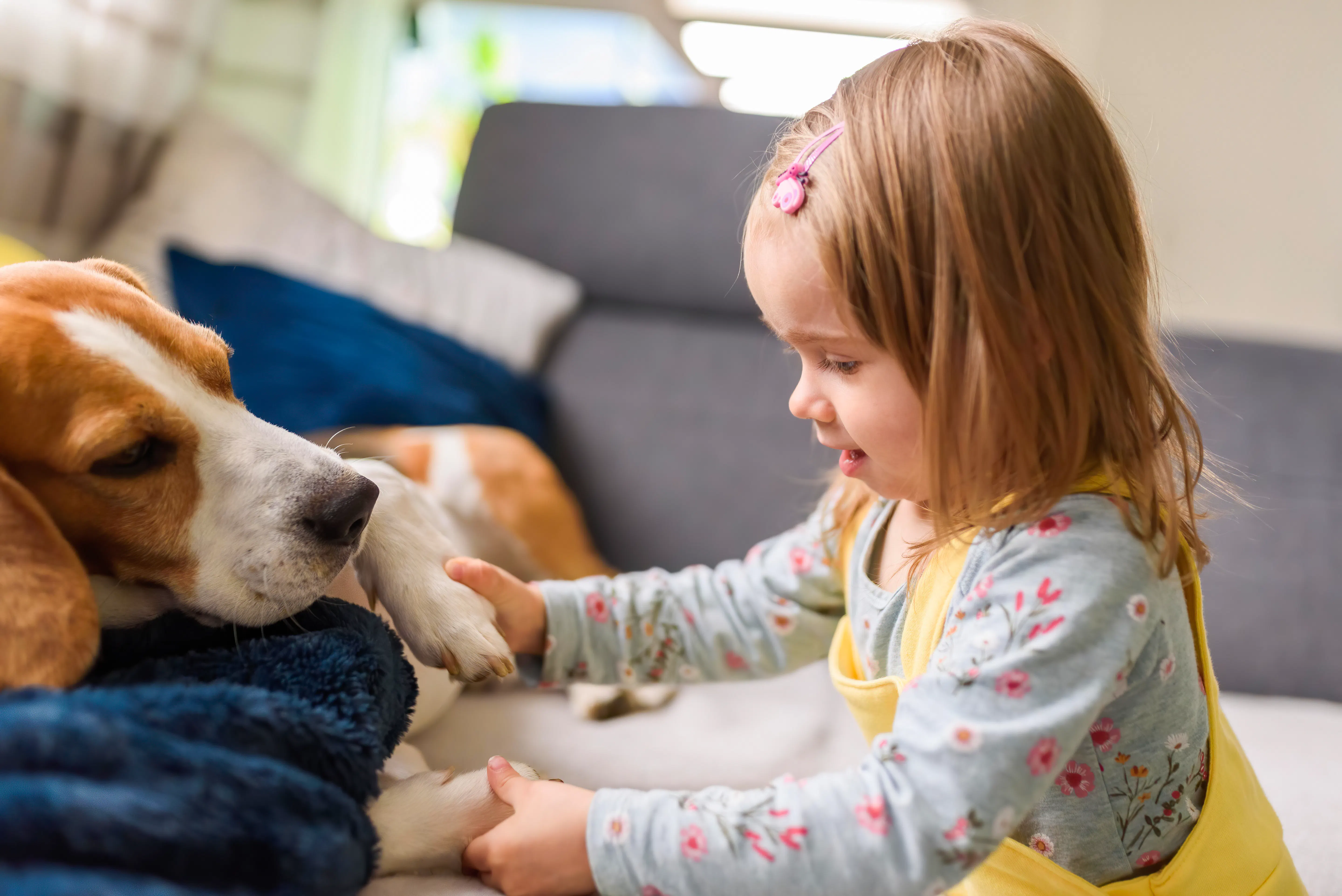 Børn og hunde | Ude og Hjemme
