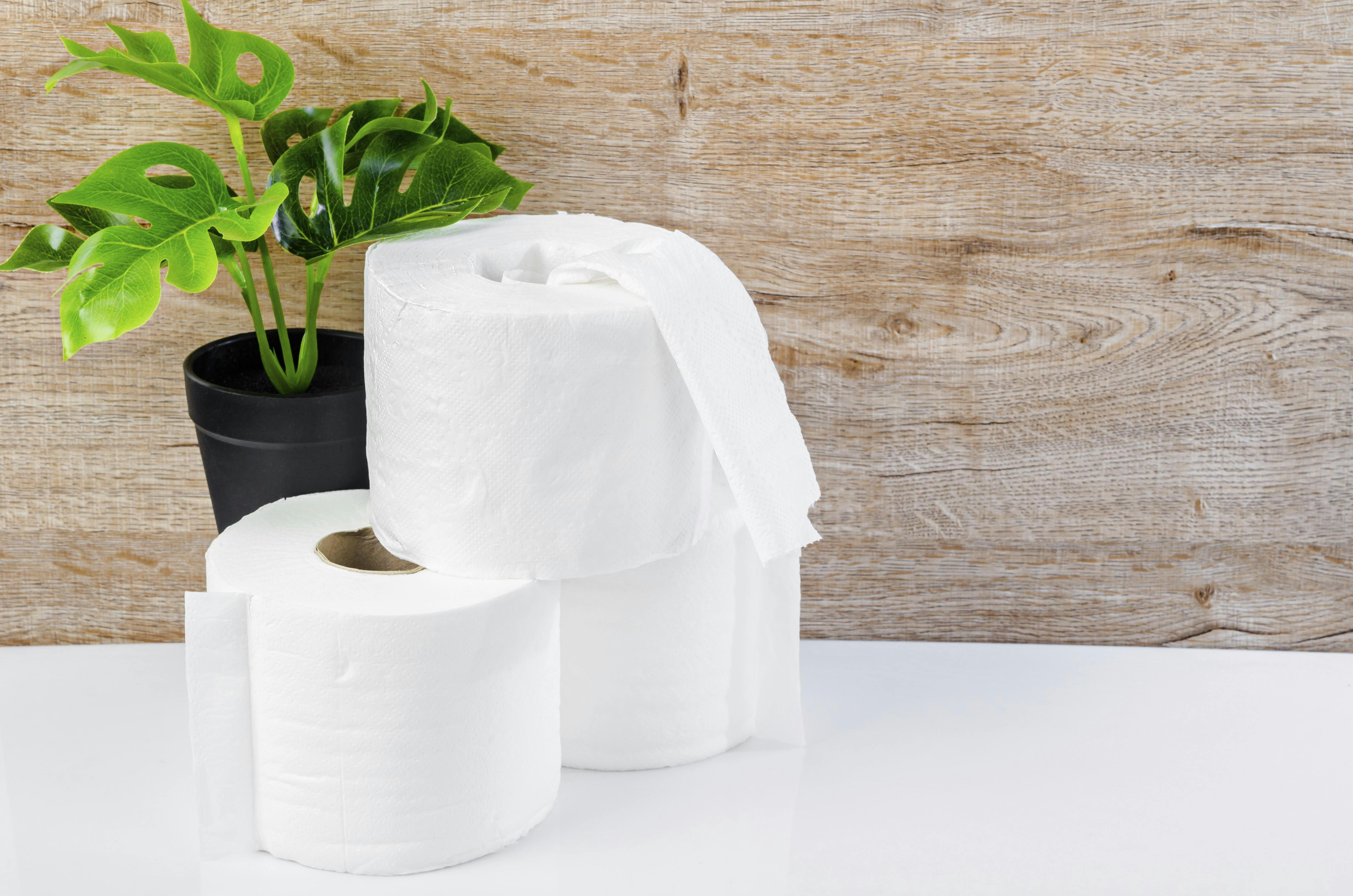 Hvid toiletpapir