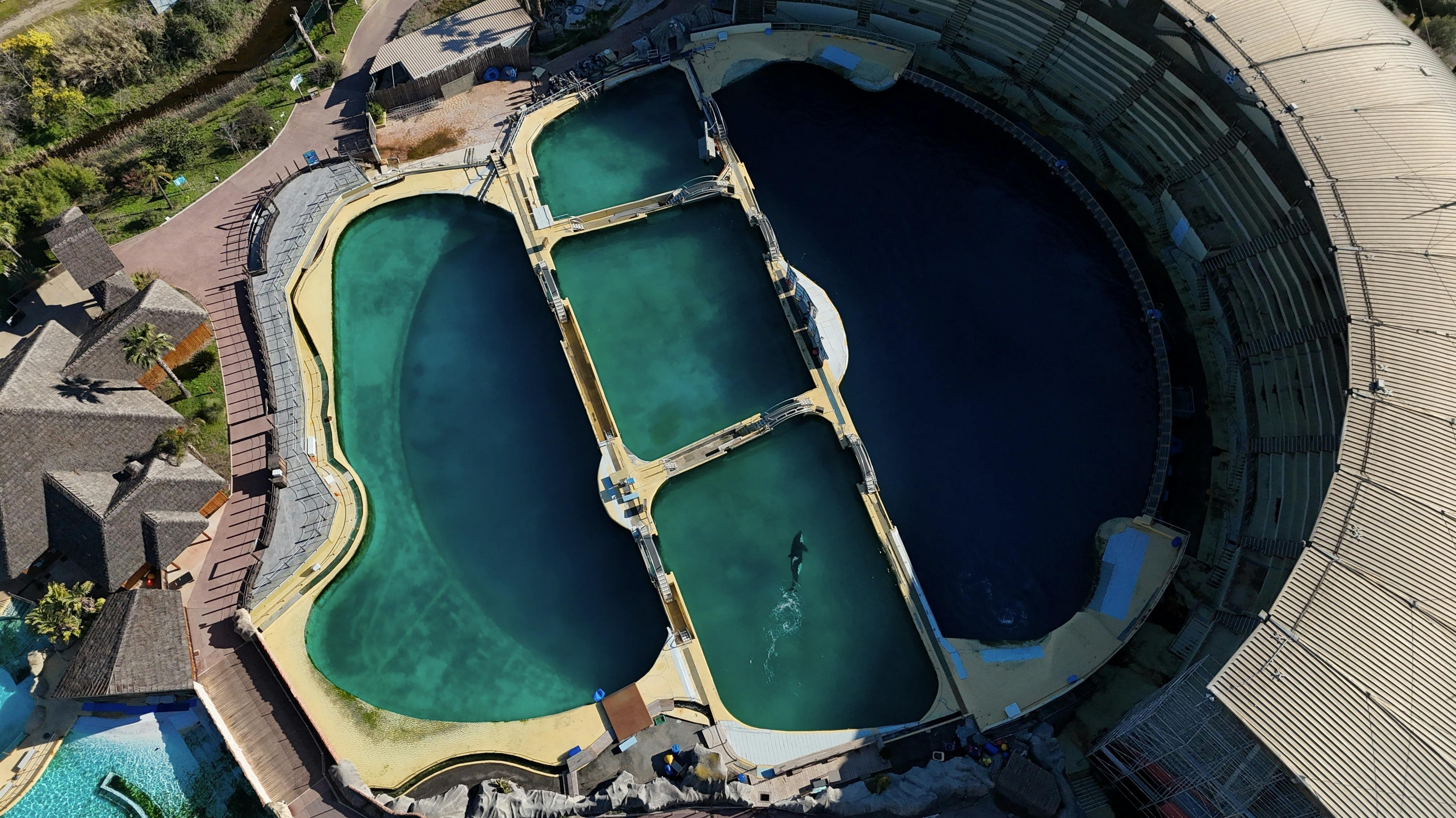 Spækhuggere efterladt i Marineland i Frankrig
