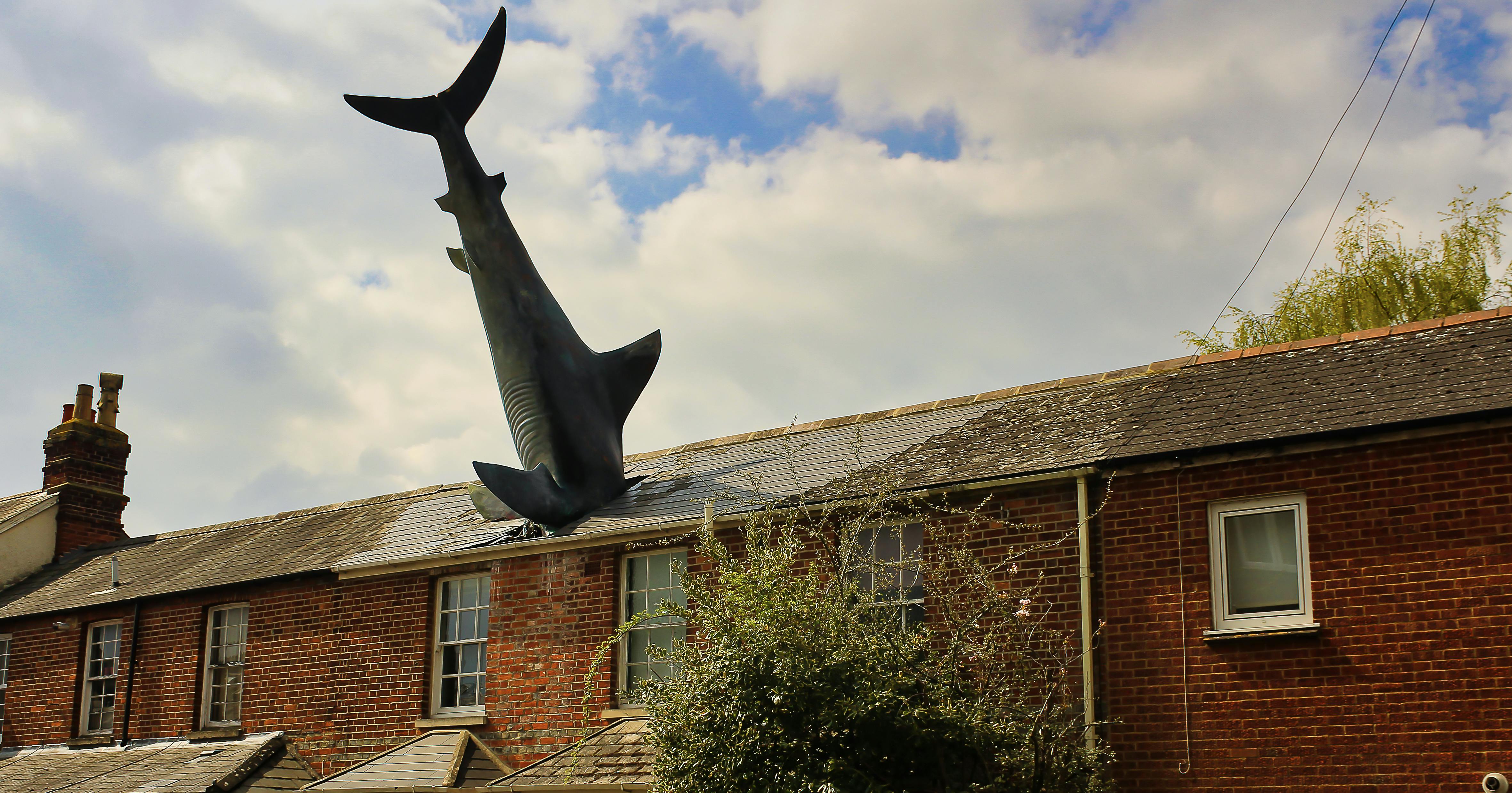 https://imgix.udeoghjemme.dk/2025-05-28/Headington-Shark-Sculpture_panthermedia_B442271376_4724x2477.jpg
