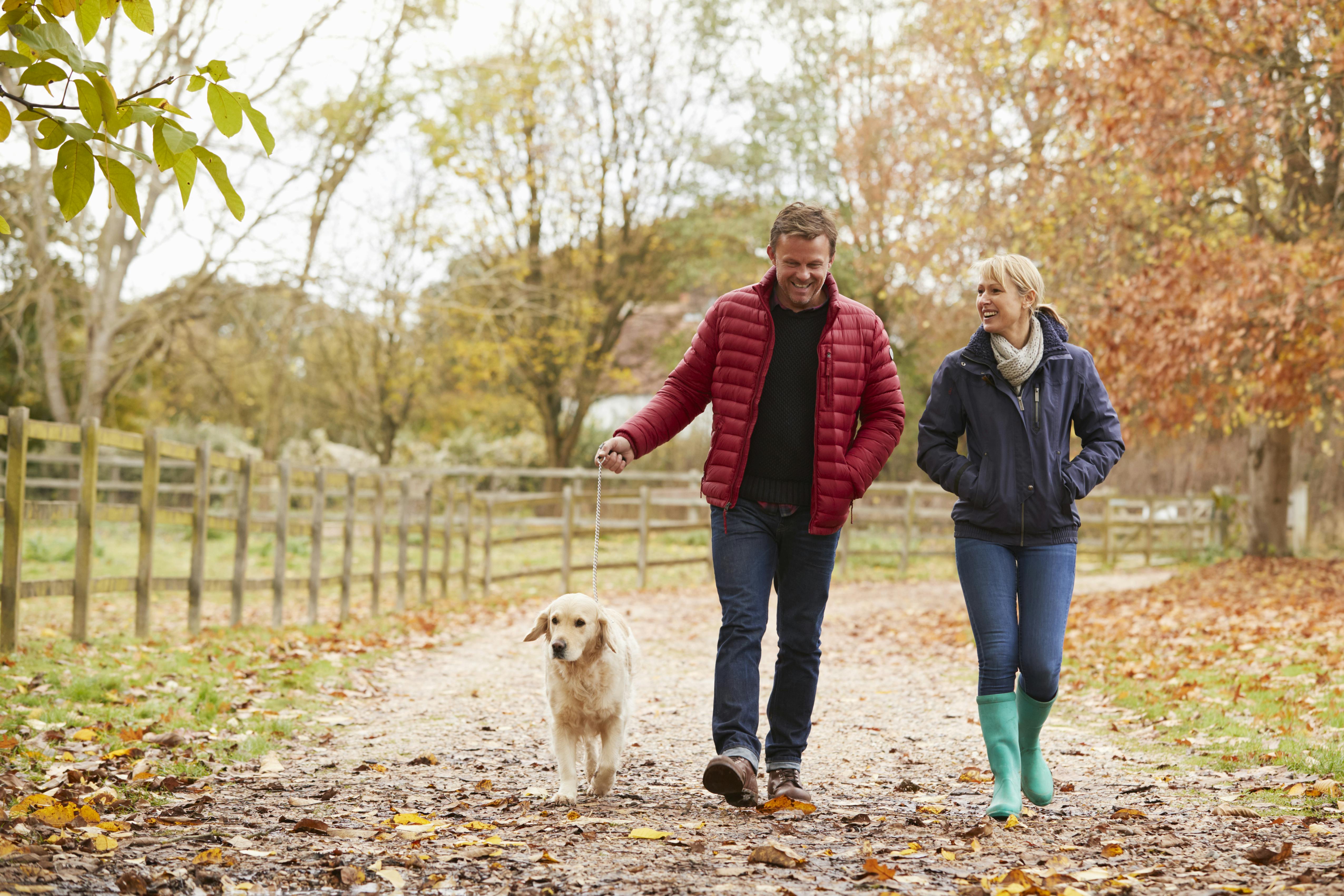 Modent par er på date og går tur med en hund 