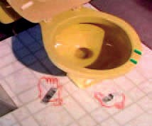 Mordet på Genell Plude - Toilet-beviset