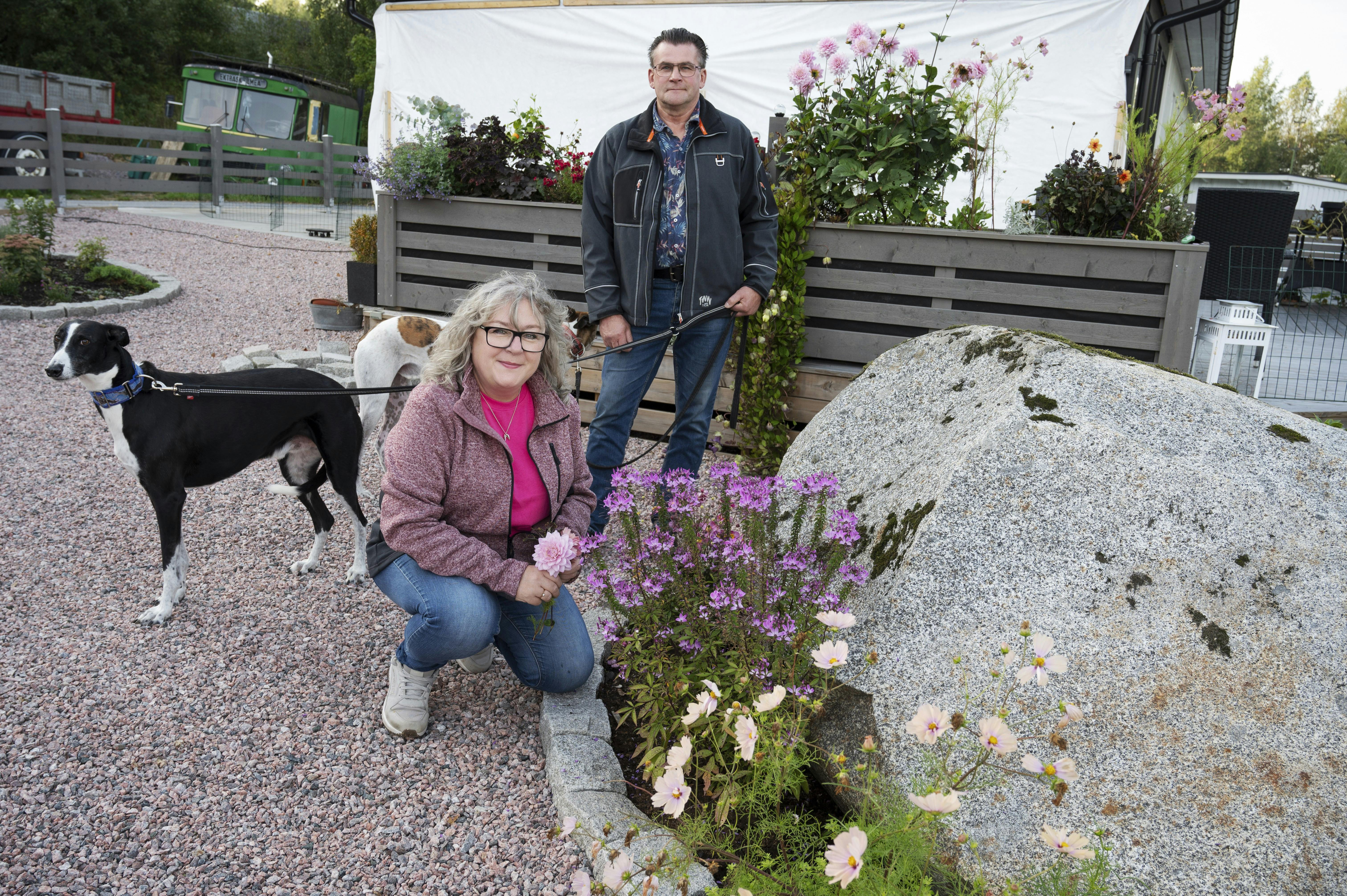 Roger og Gun sammen med deres to hunde. 
