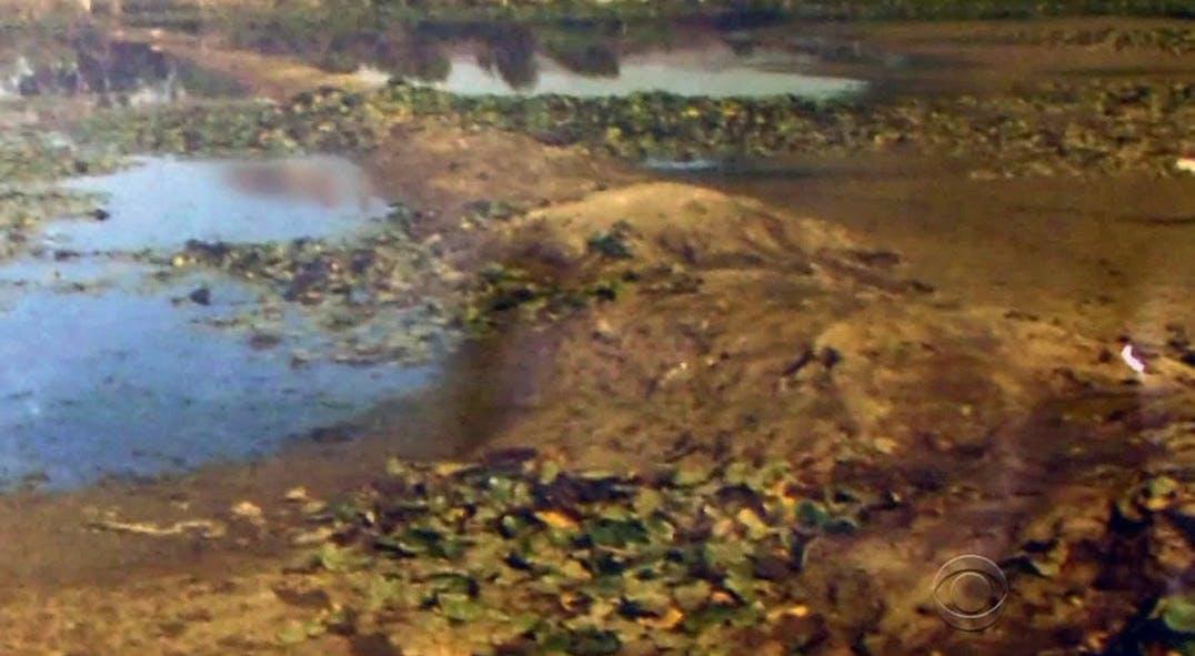 Mordet på Marilyn Yvette Allen - Gerningsstedet