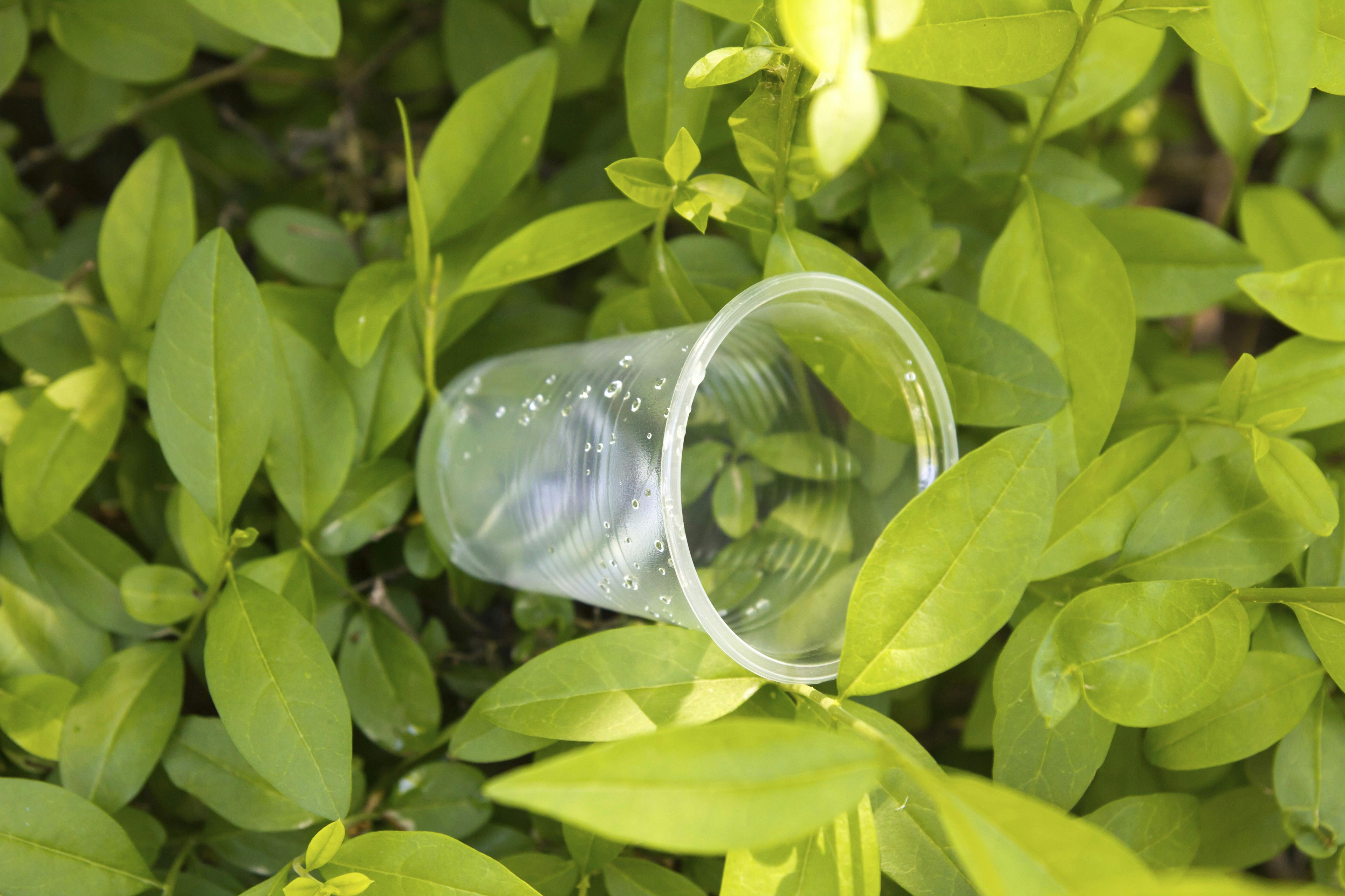 Plastik kop i naturen.