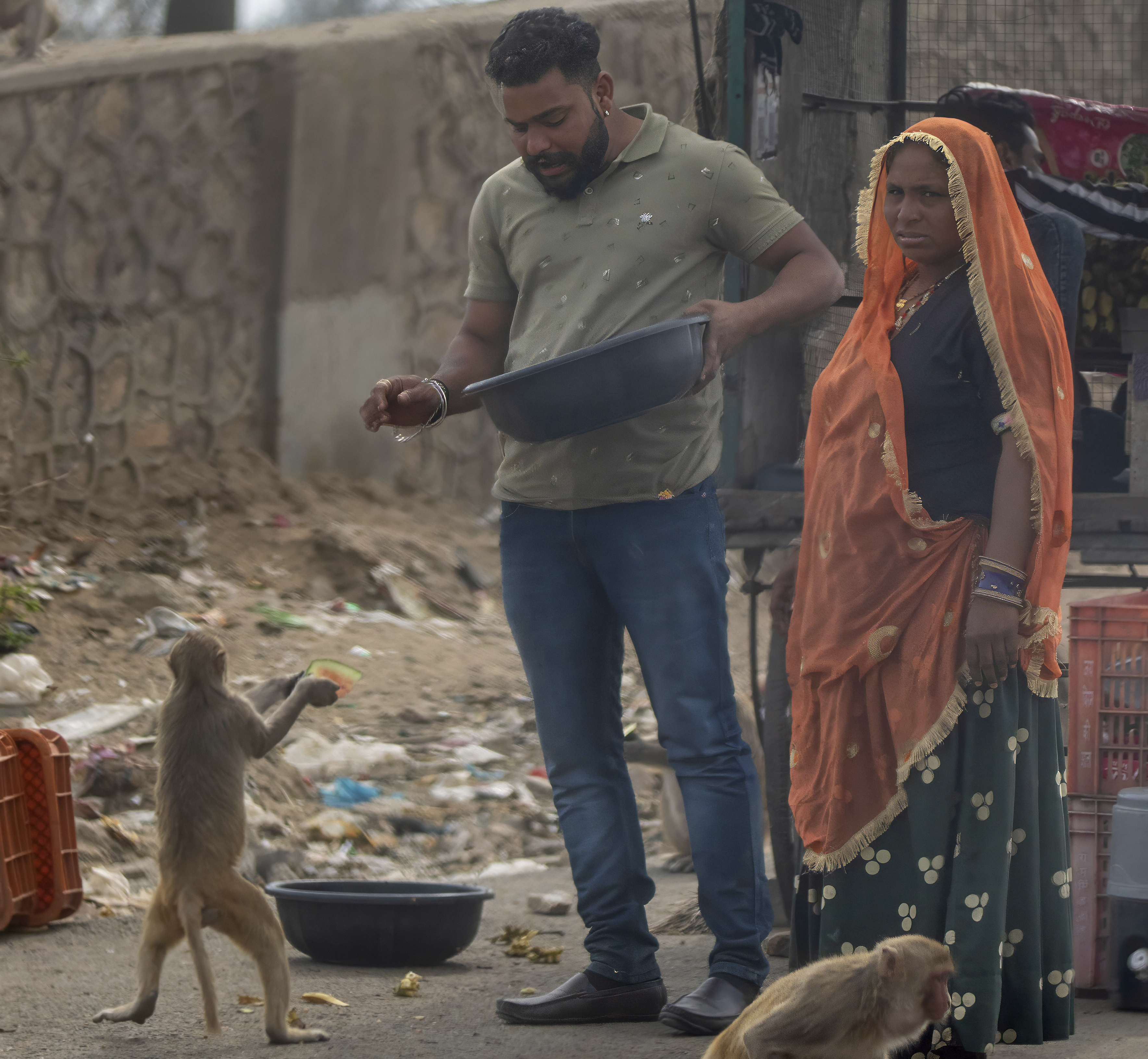 Makak-aberne forhandler og stjæler sig til mad