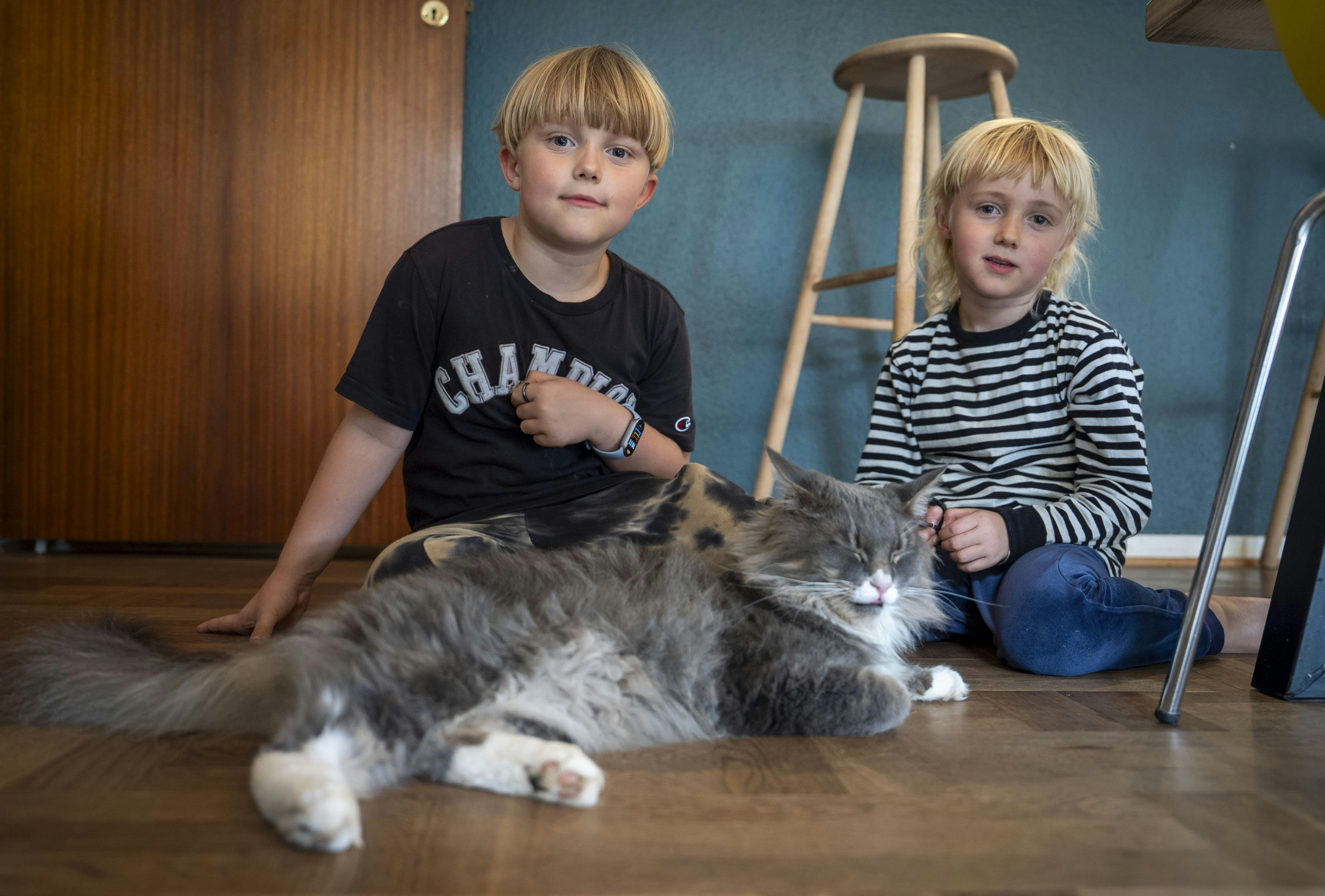 Børnene Lui og Marlon, hvis mor blev ramt af en hjerneskade.