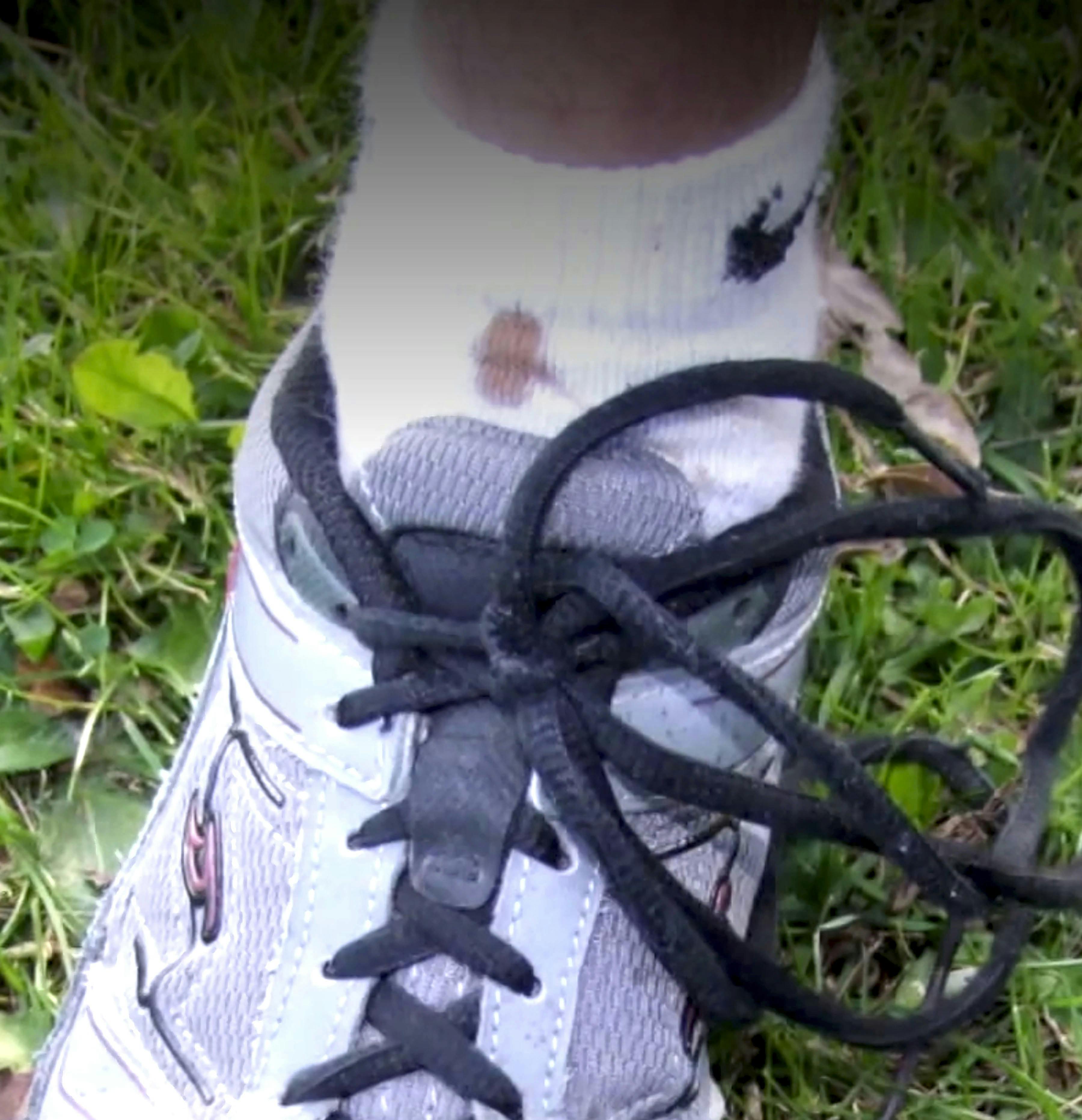 William Liske Junior havde blodspor på sit tøj.