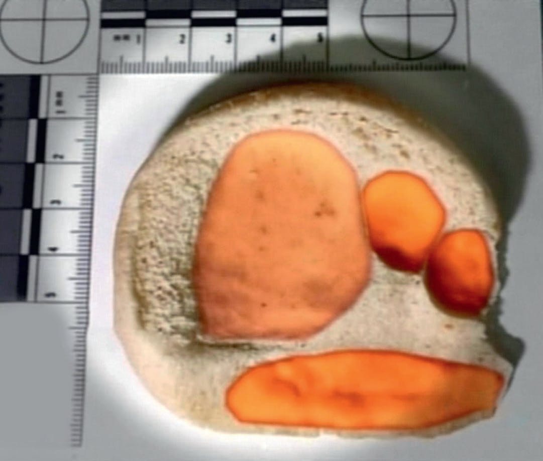 Mordet på Christina Sanoubane - Morderens fodaftryk