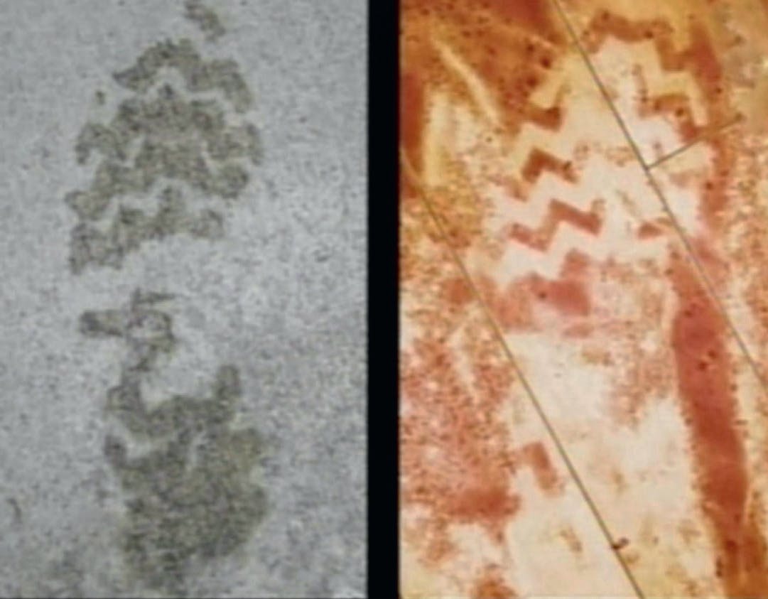 Dobbeltmordet på Brian og Beverly Mauck - Morderen Daniel Tavares' sko