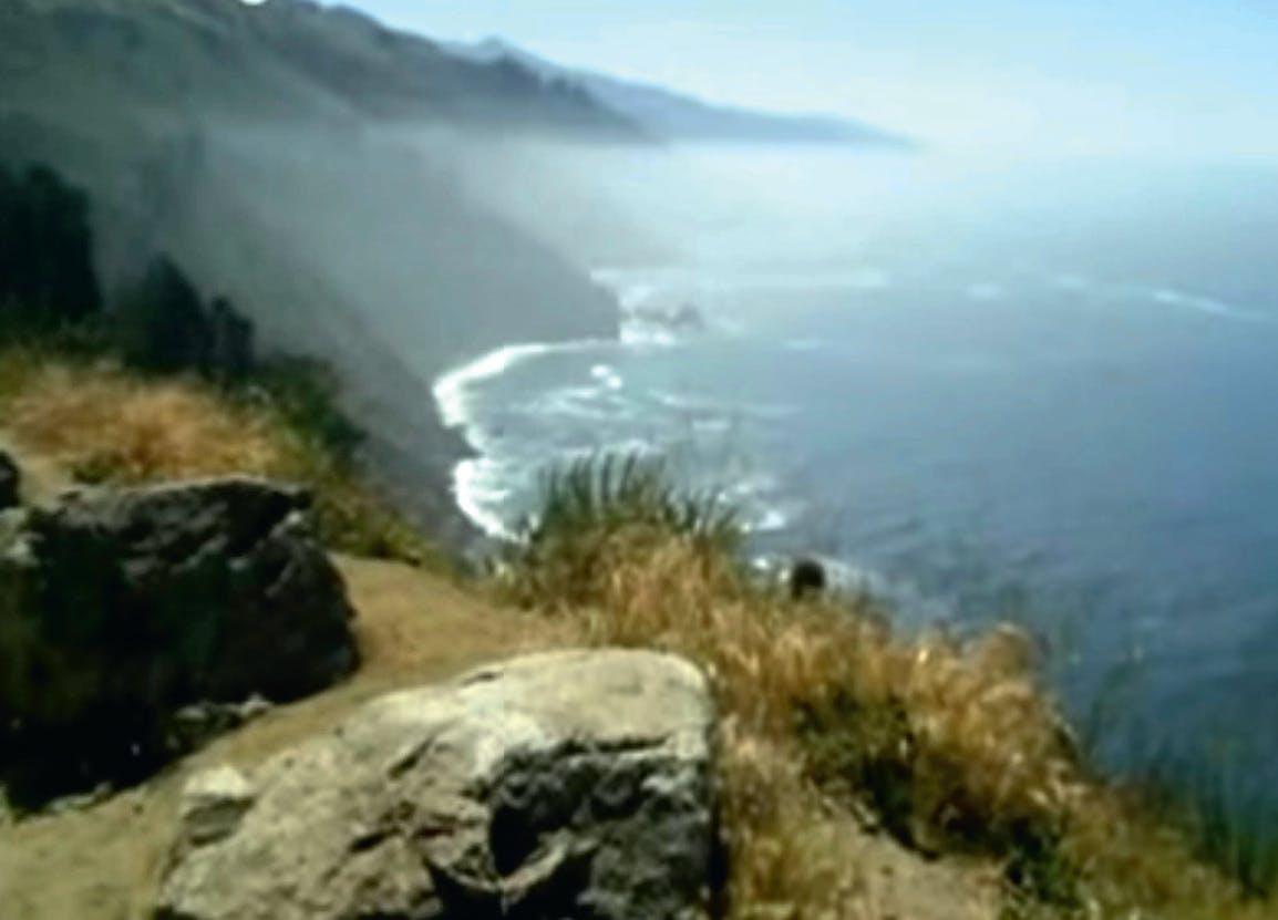 Mordet på Donna Hartman - Gerningsstedet