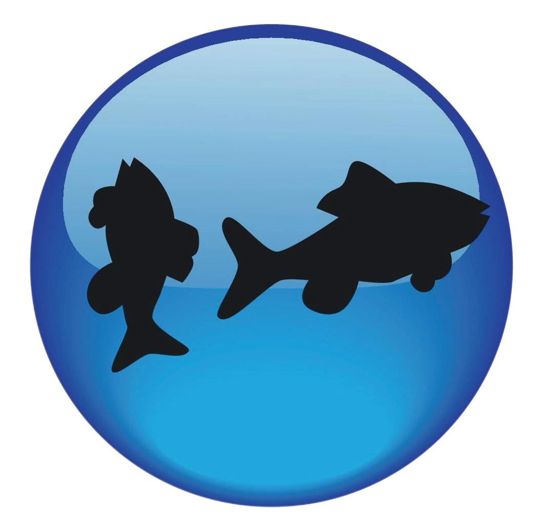 Årshoroskop 2026: Stjernetegnet Fisken