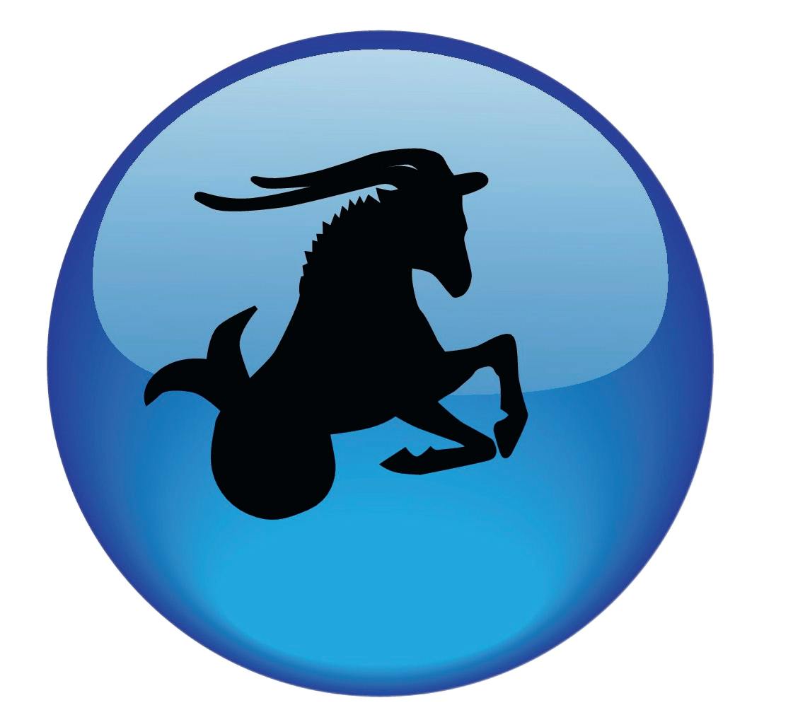 Årshoroskop 2026: Stjernetegnet Stenbukken