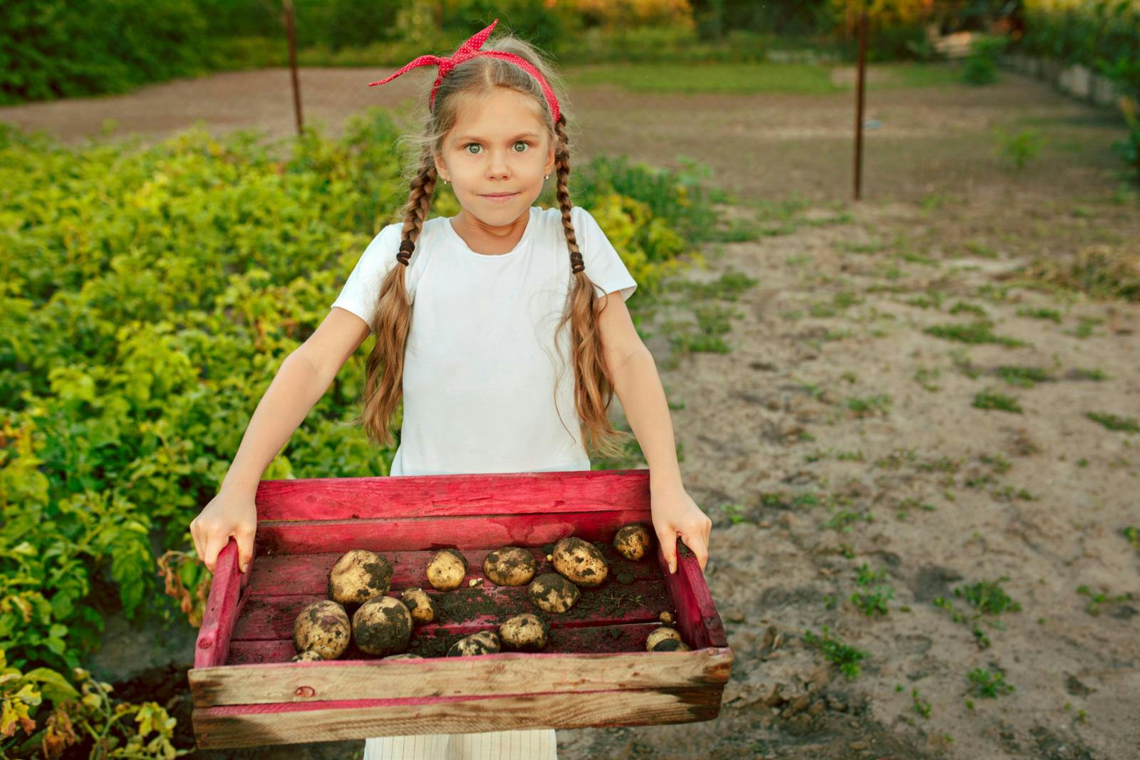 Billede til en læserfortælling.