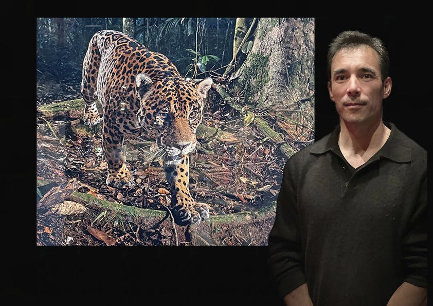 Chien Lee fotograferer vilde dyr med fotofælder