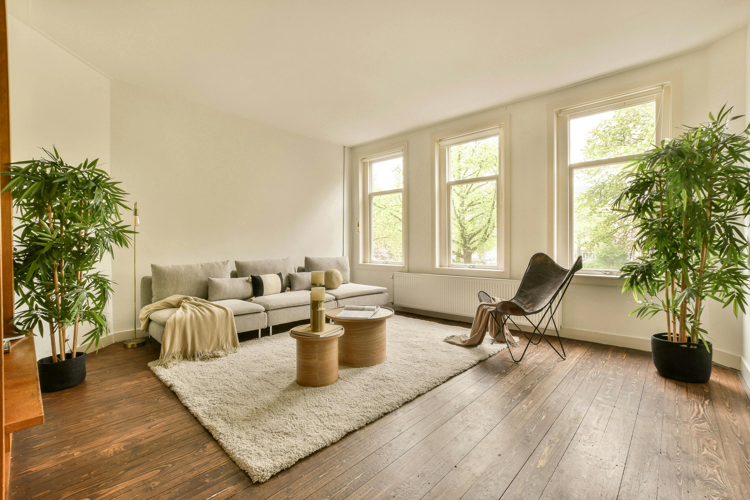 Gode råd er gratis. Trykmærker på gulvtæppet.