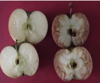 https://imgix.udeoghjemme.dk/apples.jpg