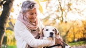 Hund, alderdom, menneskets bedste ven
