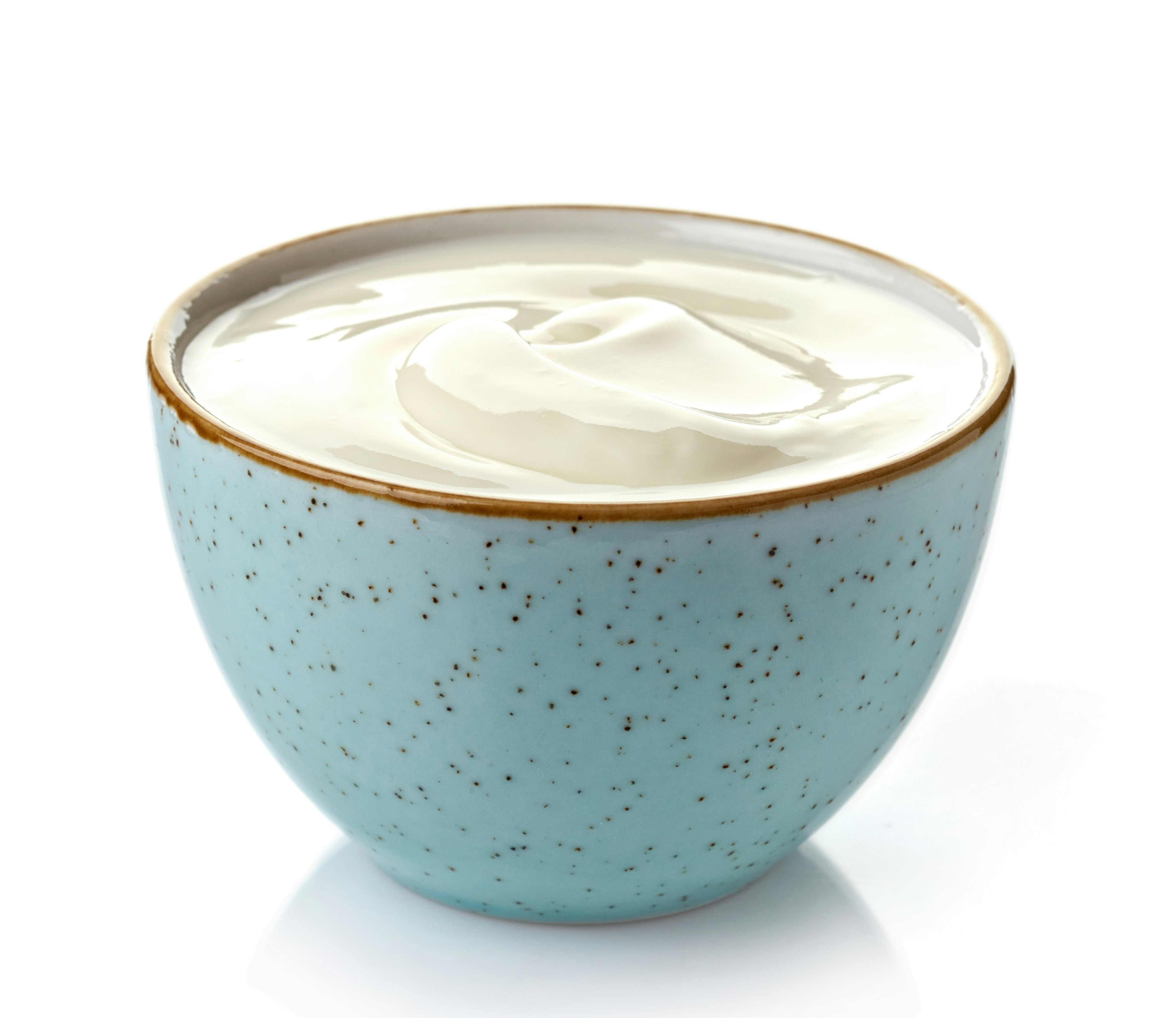 en skål græsk yoghurt