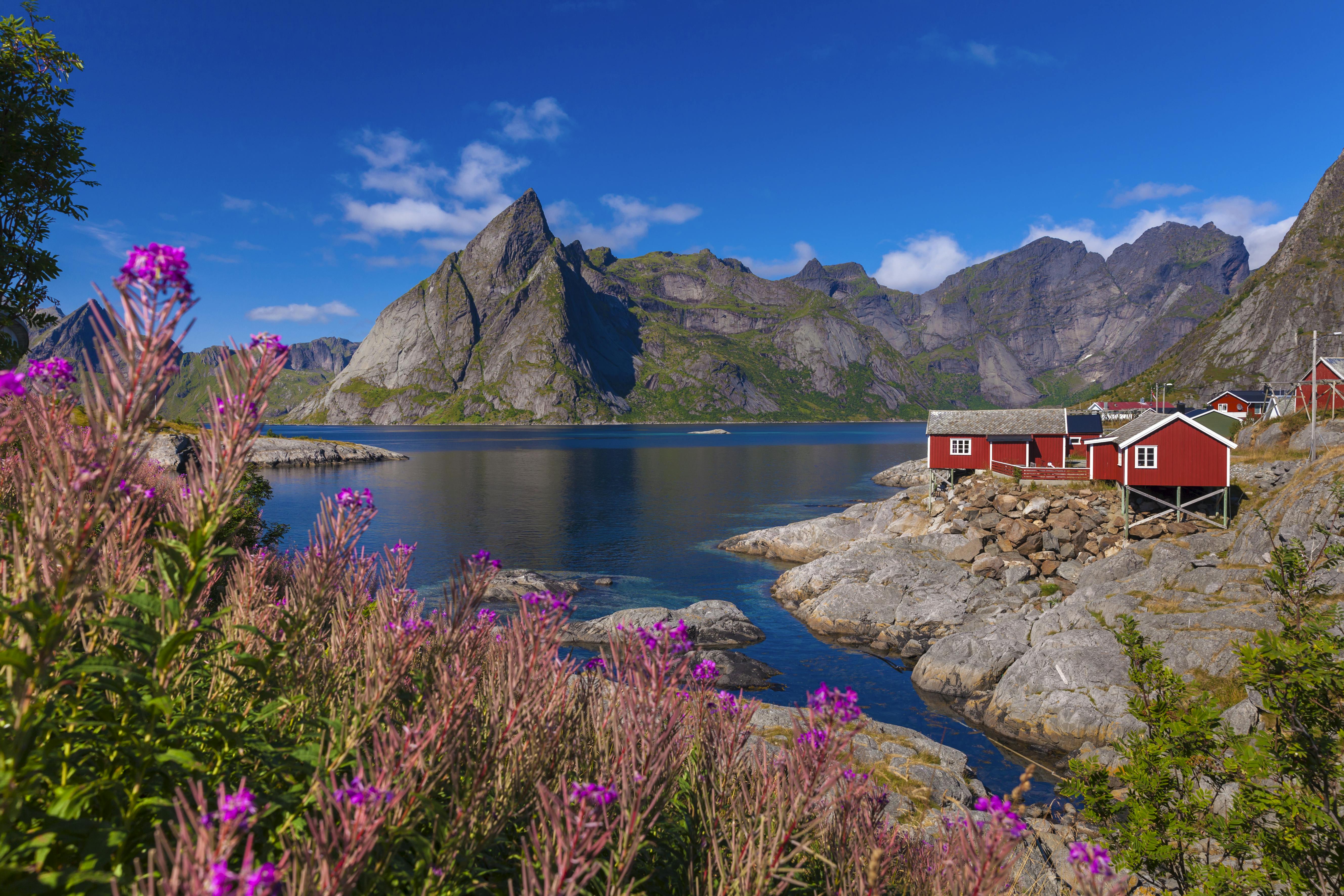 Rejs til Nordkap og Lofoten