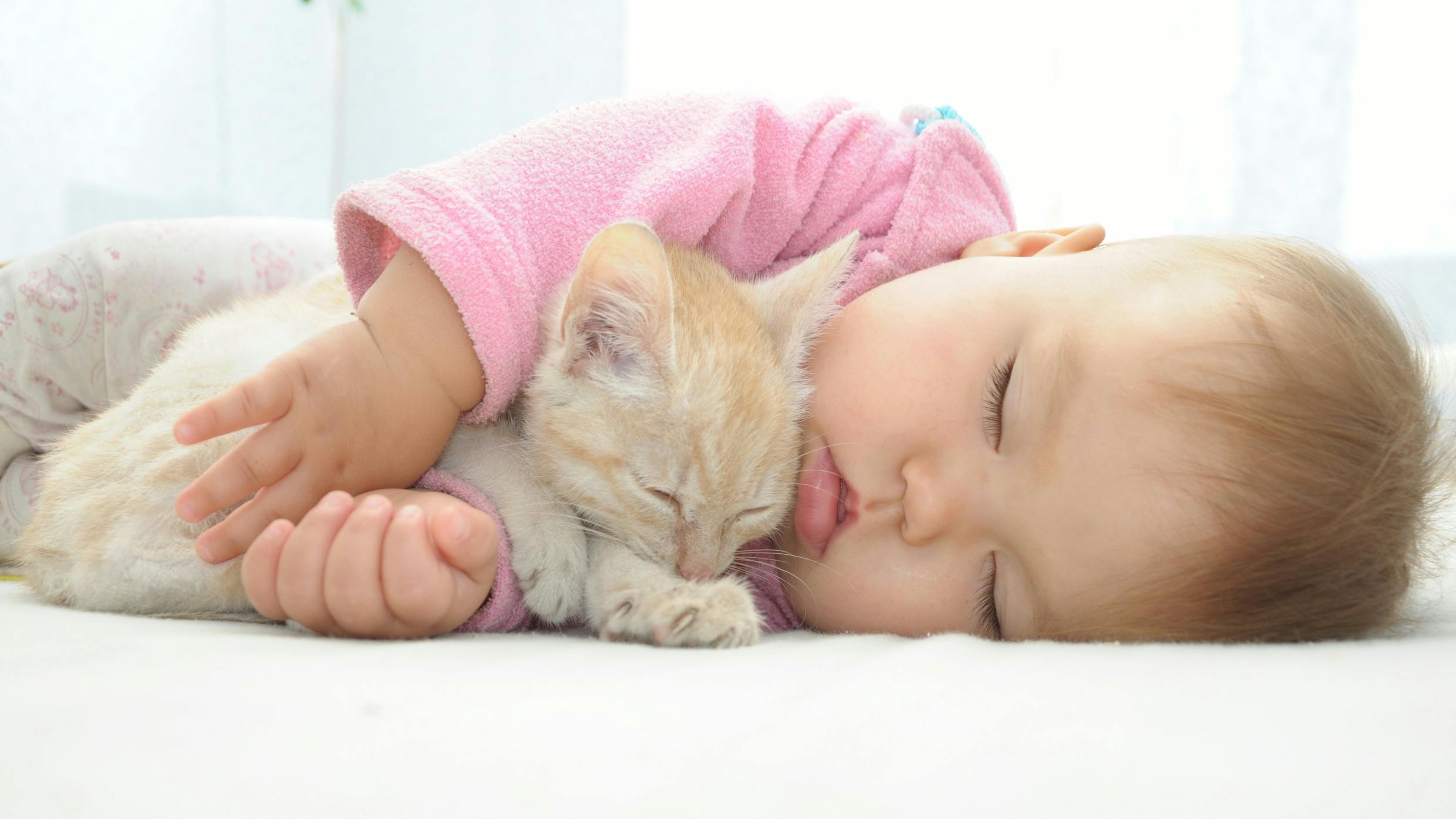 Astma: baby ligger med katte