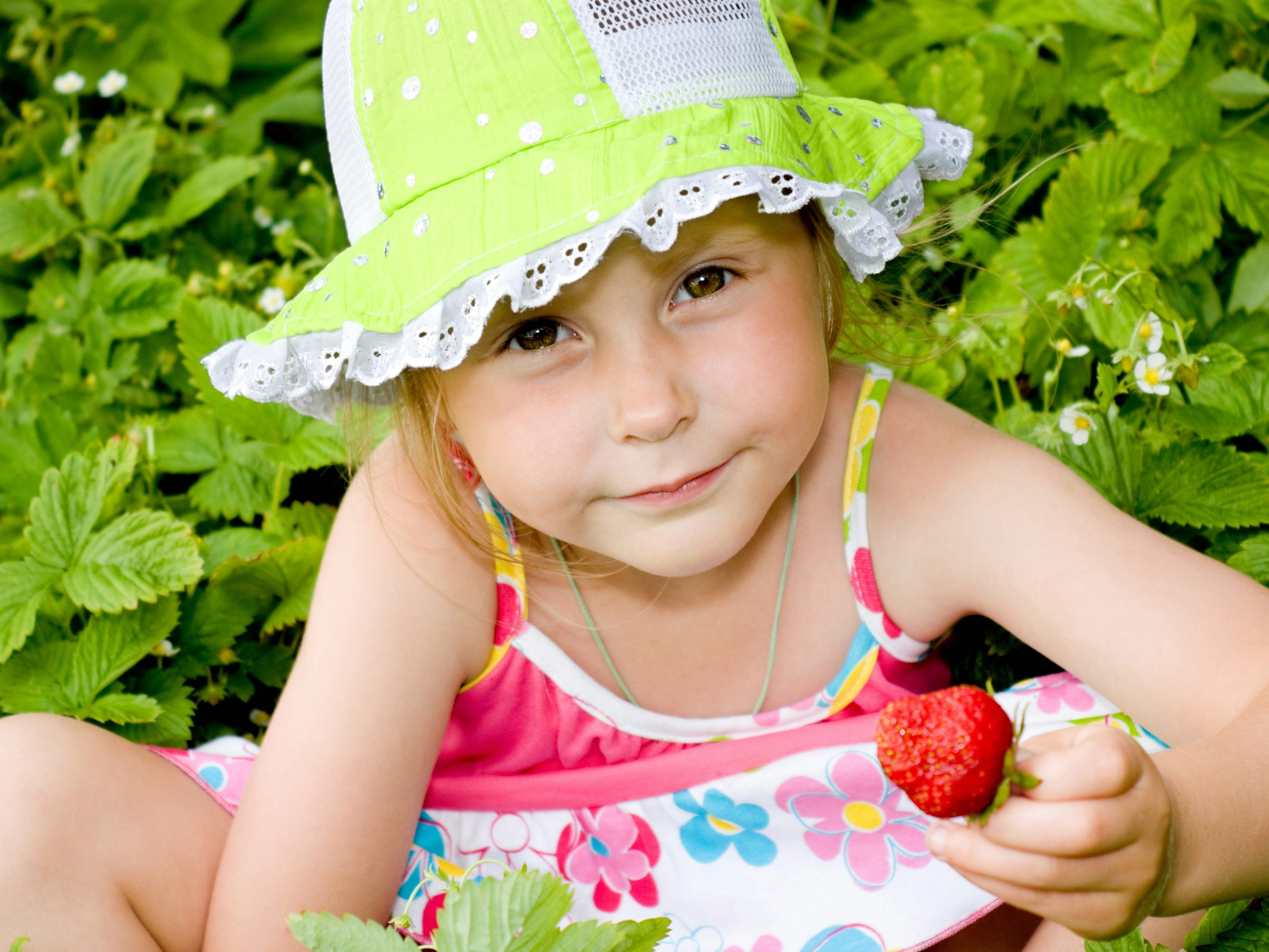 Et barn spiser plukker jordbær i haven 